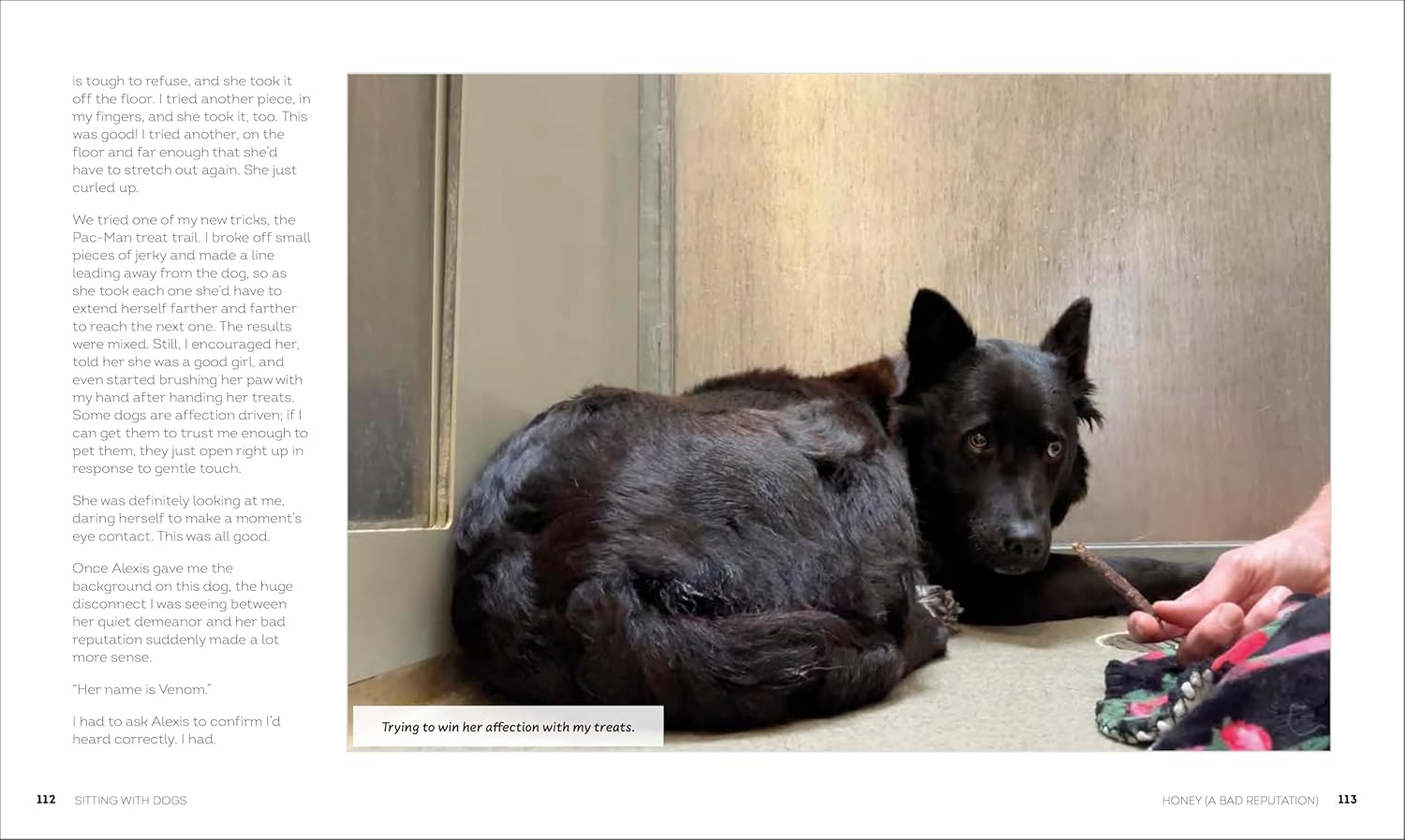 Sitting with Dogs: Stories of Rescue Dogs Going from Lost to Loved image number 5