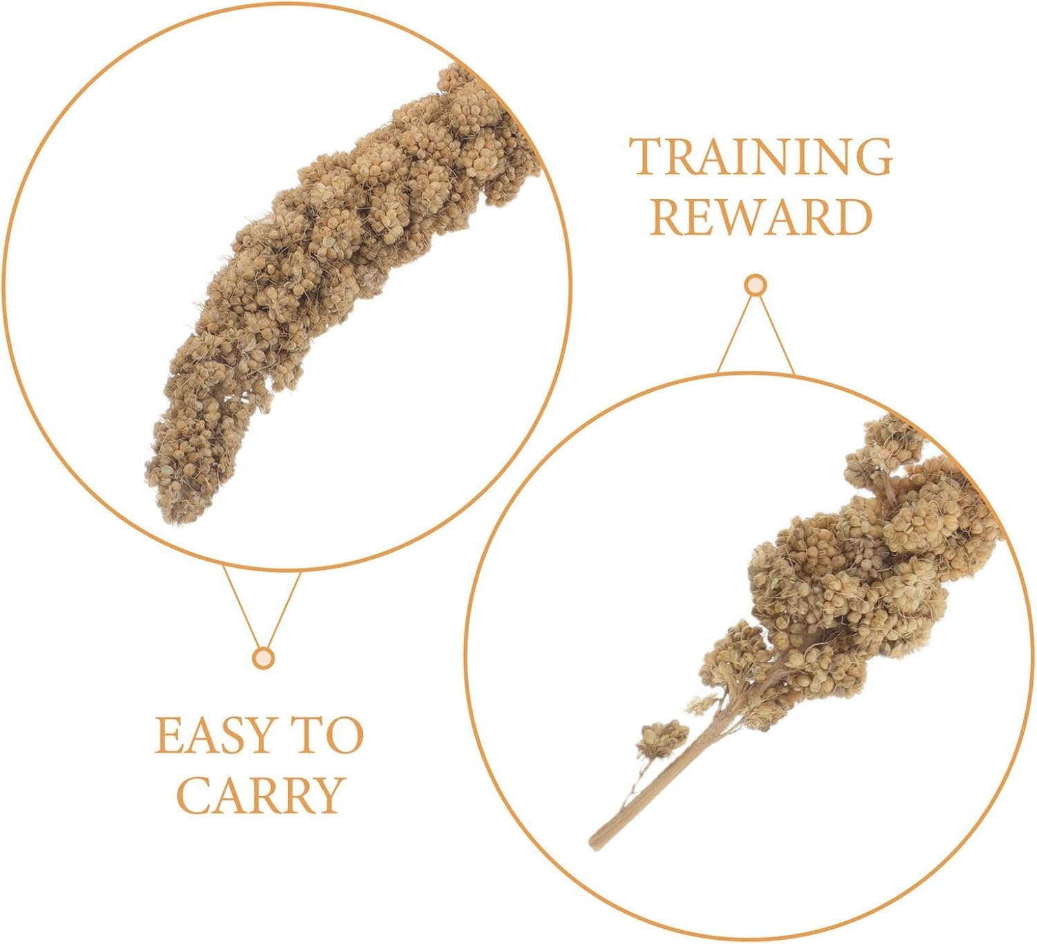 Abaodam Millet Treat for Parakeets and Budgies 500G Natural Dried Millet Sticks Bird Snack Food for Cockatiels Finches Small Pet Supplies image number 2