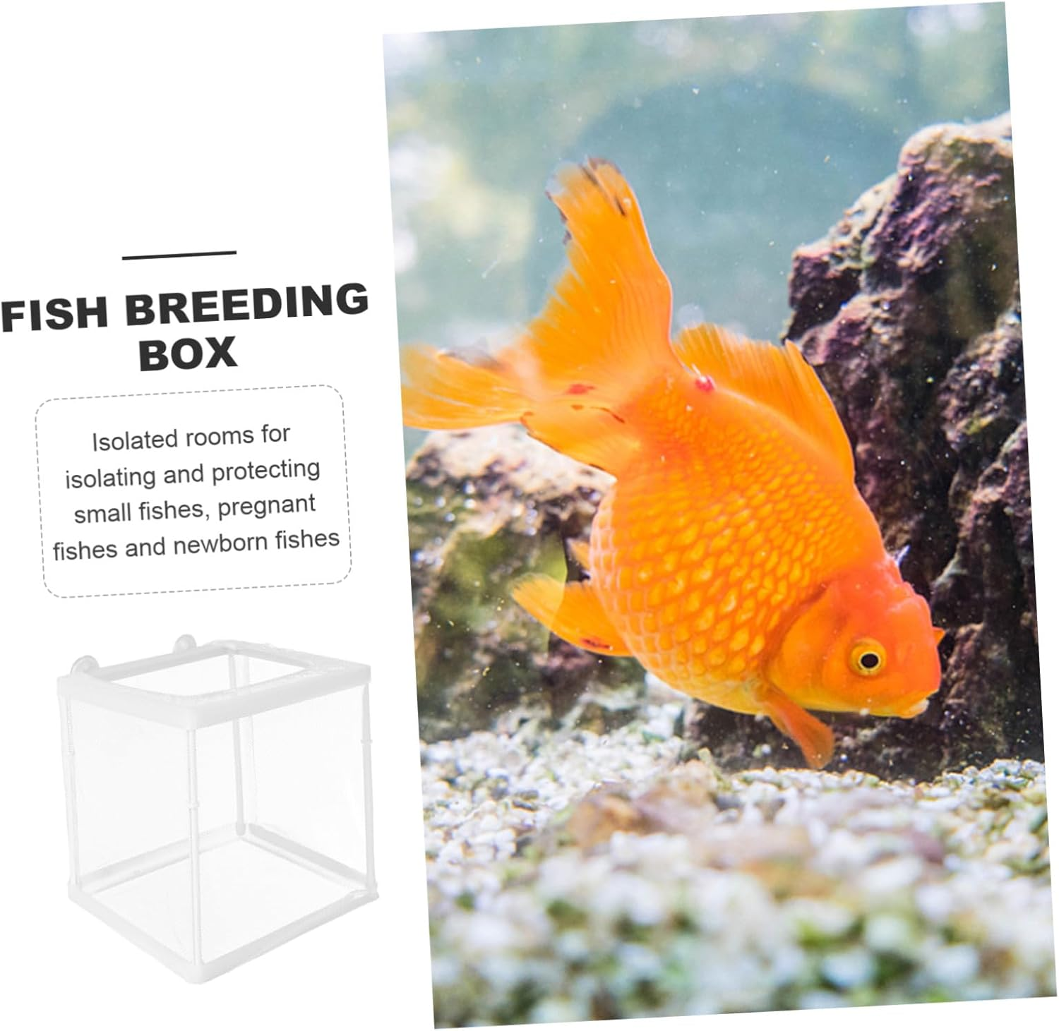 UKCOCO Fish Breeding Tank Fish Incubator for Aquarium with Mesh Design Isolation and Fry Protection in Guppy Shrimp Breeding image number 4