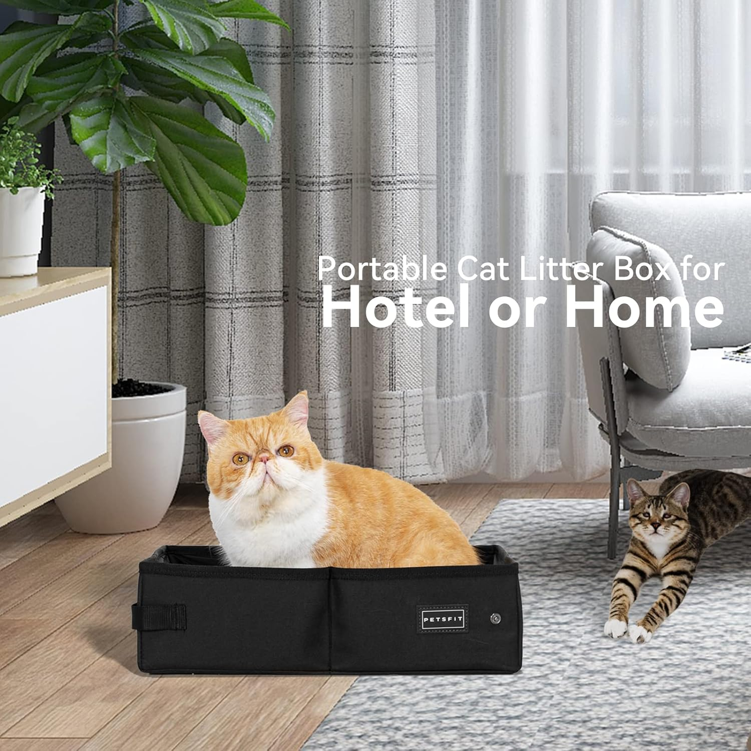 PETSFIT Cat Litter Box Large,Outdoor Cat Litter Box Waterproof Bottom, Zipped Travel Kitten Toilet, Standard Portable Collapsible Litter Carrier for Cats, Leak-Proof, Lightweight Black, 48 X 38X 15Cm