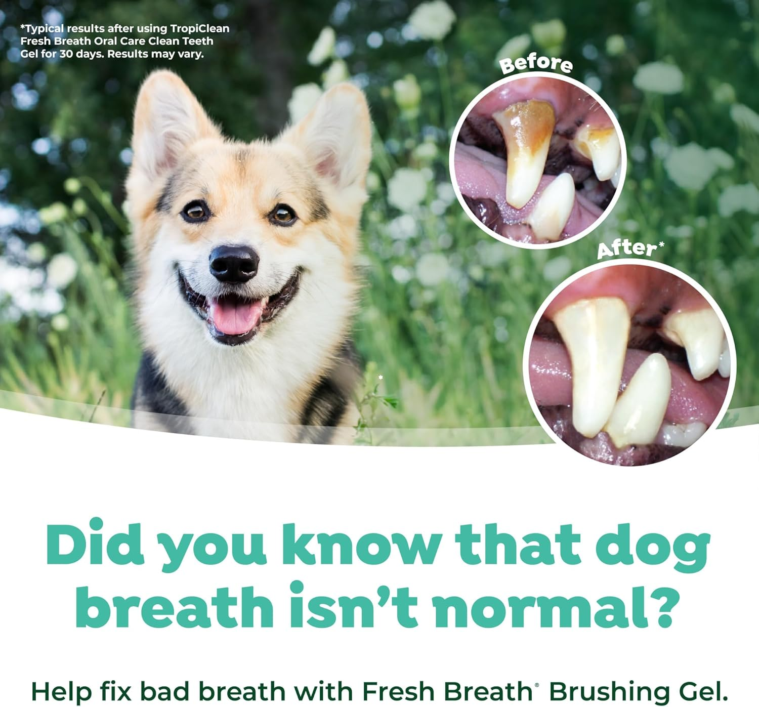 Tropiclean Fresh Breath Oral Care Kit for Small Dogs with Oral Care Gel, Tripleflex Toothbrush and Finger Brush