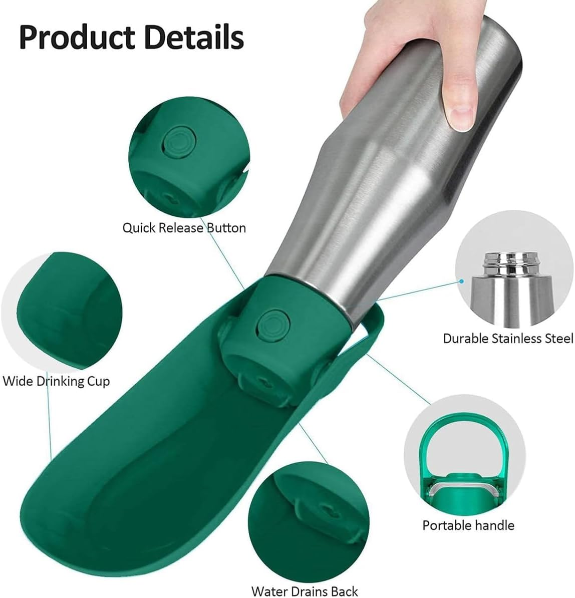 AIMALL Portable Stainless Steel Pet Water Bottle &ndash; 12In Outdoor Travel Dog Water Cup with PP Lid for Cats and Dogs, Leakproof Kettle for Hiking and Walking, Green image number 3