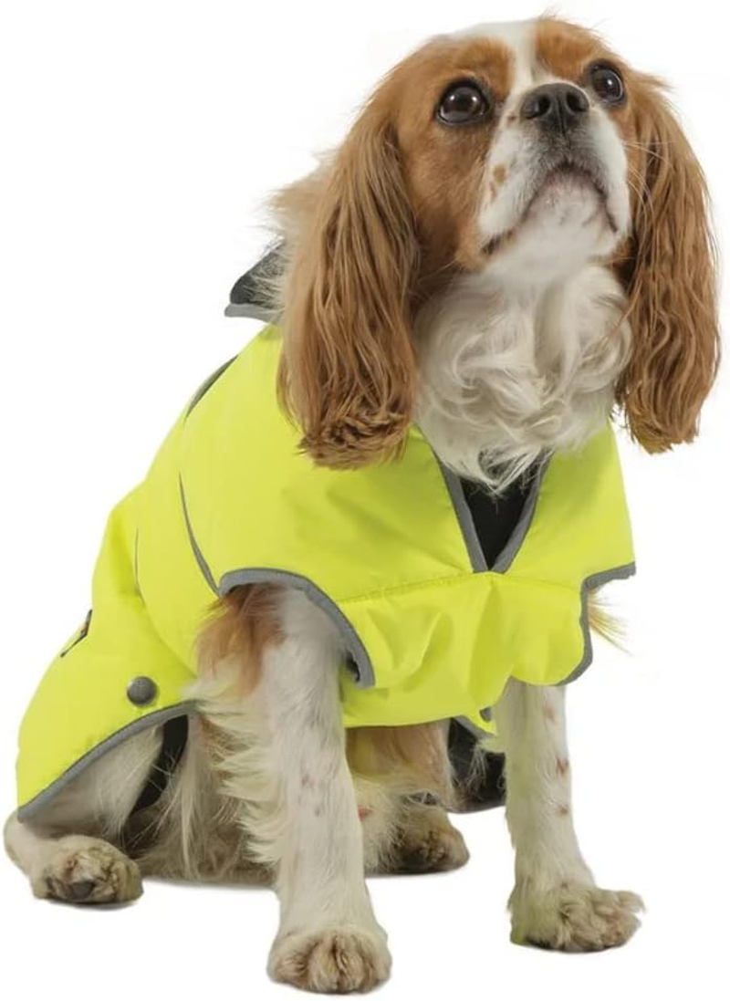 Ancol Muddy Paws All Weather Stormguard Dog Puppy Coat Chocolate - Waterproof Pet Jacket - Fleece Lining and Chest Protector - Elasticated Neck & Leg Straps - 25 Cm Length up to 43 Cm Girth - XS image number 5