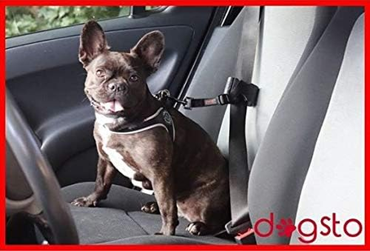 Dogsto Dog Seat Belt for Any Car with Central Attachment to the Seat Belt - Ideal Sitting Position image number 2