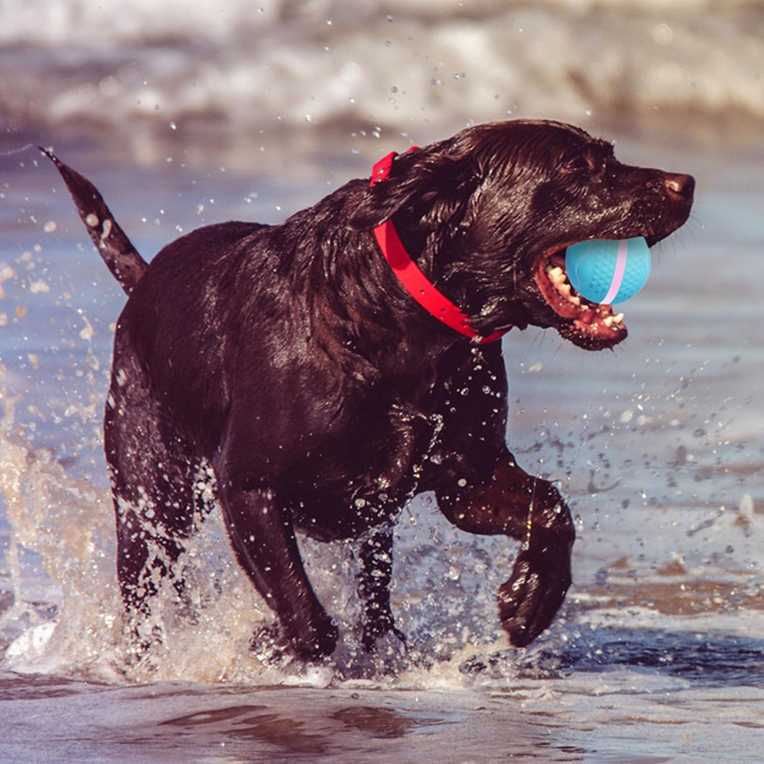 Smart Interactive Dog Ball Toy, Waterproof Motion Activated Automatic Rolling Ball Toy Pets Chew Toys, Electric Launcher Bouncing Busy Ball for Small Large Dog Pet