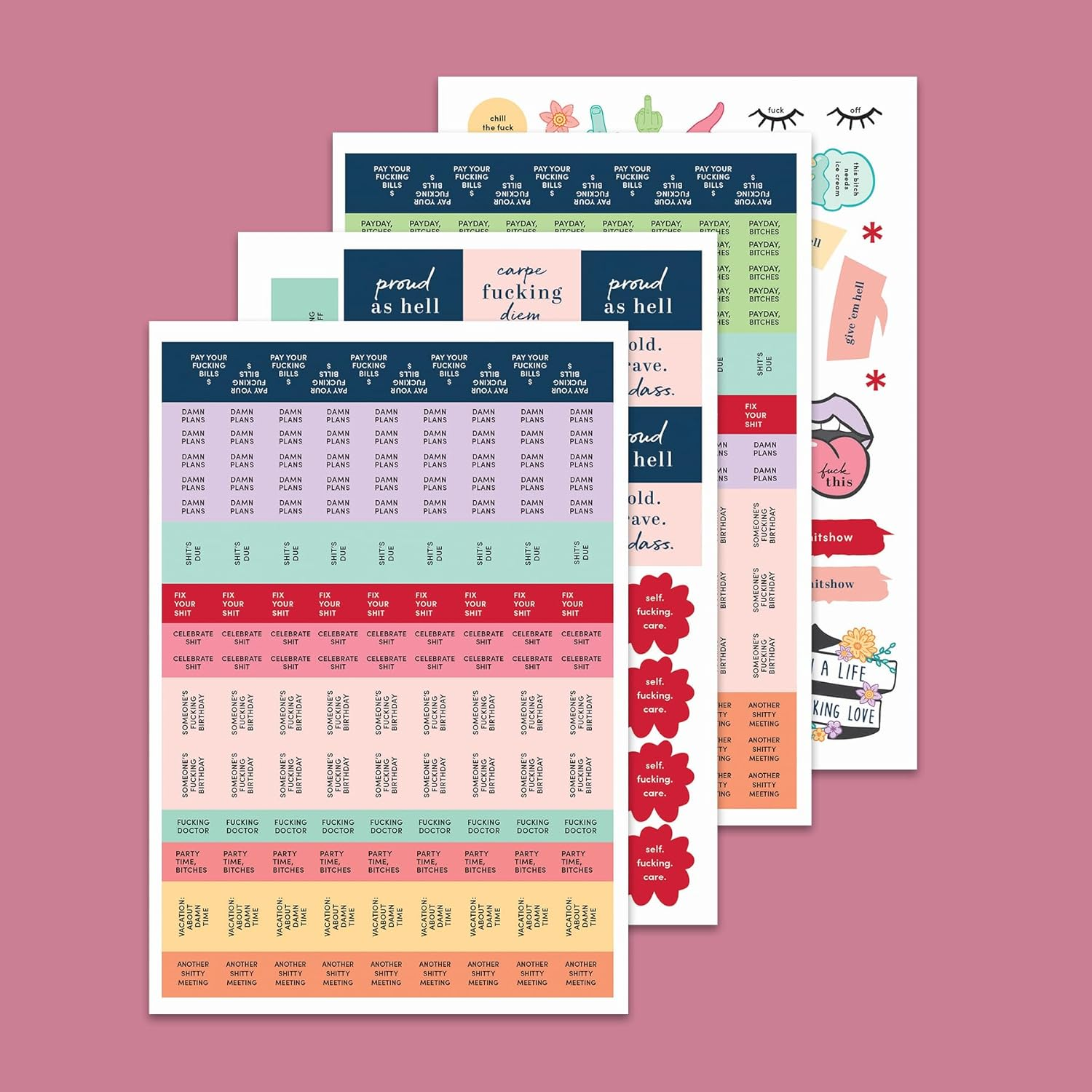 2025 She Believed She Could so She F*Cking Did Planner image number 4