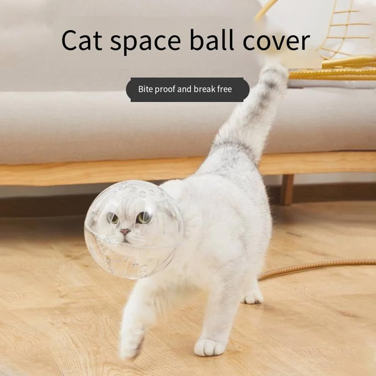 Cat Space Hood Anti-Bite Breathable Headgear Elizabeth Collar for Pets - Clear Protective Helmet for Cats and Small Dogs, Lightweight and Comfortable, Multiple image number 6