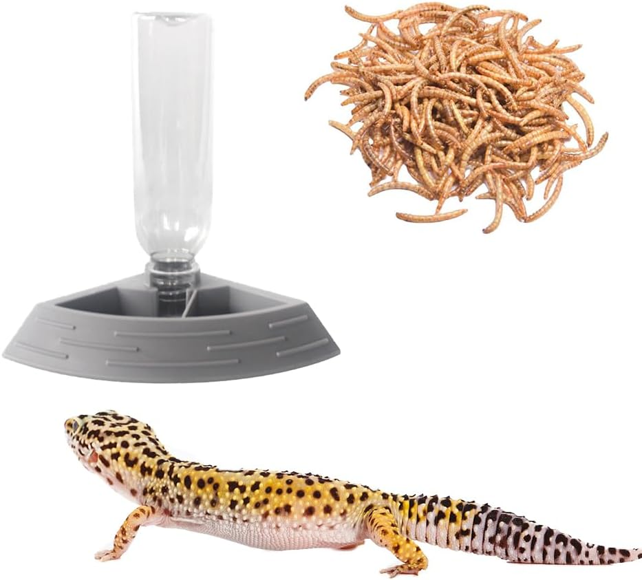 Reptile Feeder Bowl,Automatic Reptiles Water Dish Dispenser Feeding Bowls Terrarium Corner Bowl for Bearded Dragon Gecko Snake Lizard Turtles Pet Aquarium Ornament (Titanium Gold) - Titanium Gold image number 2