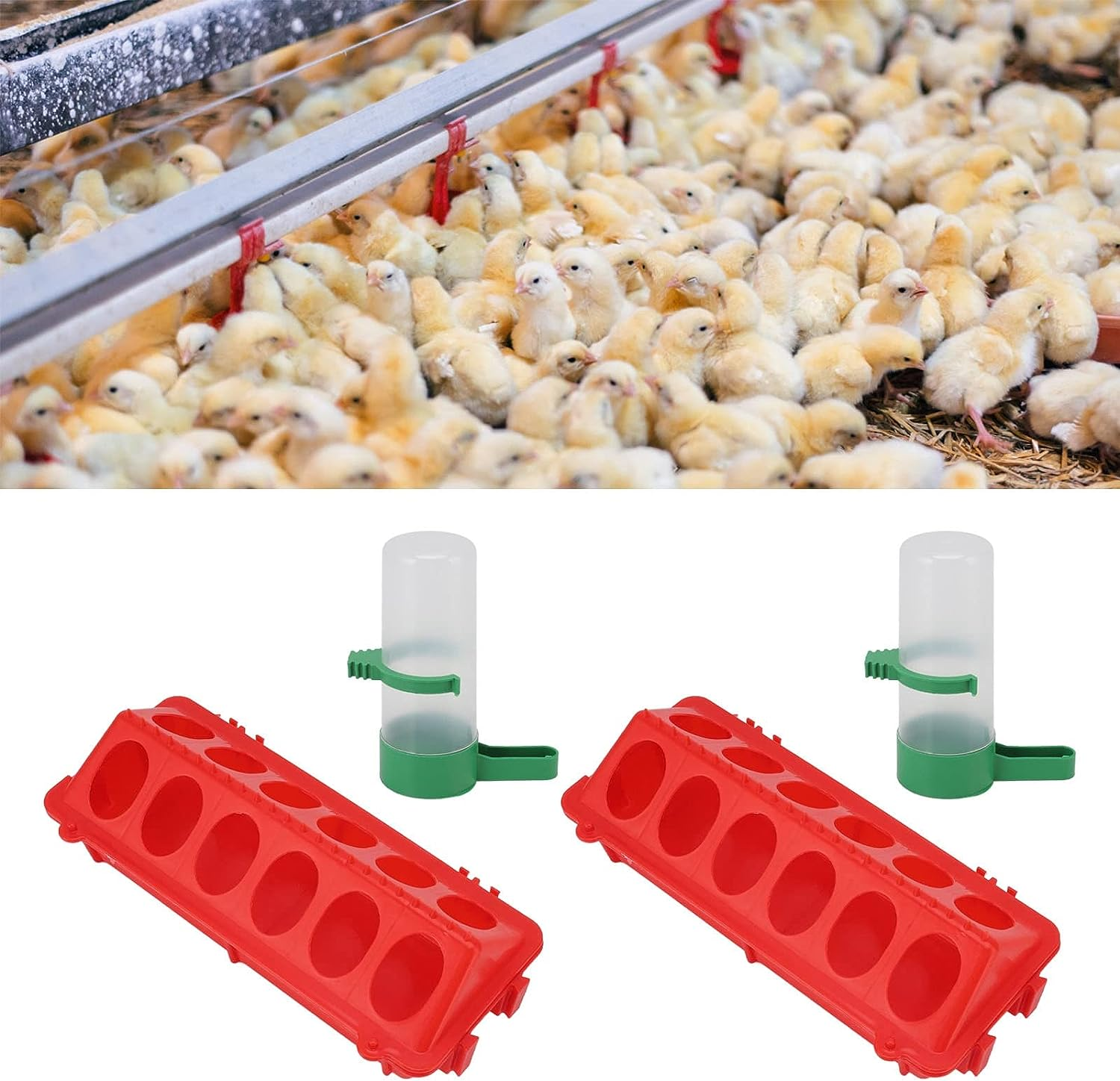 2 Sets, Chicken Trough for Poultry Equipment Feeders Birds (L Waterer 140ML) image number 4