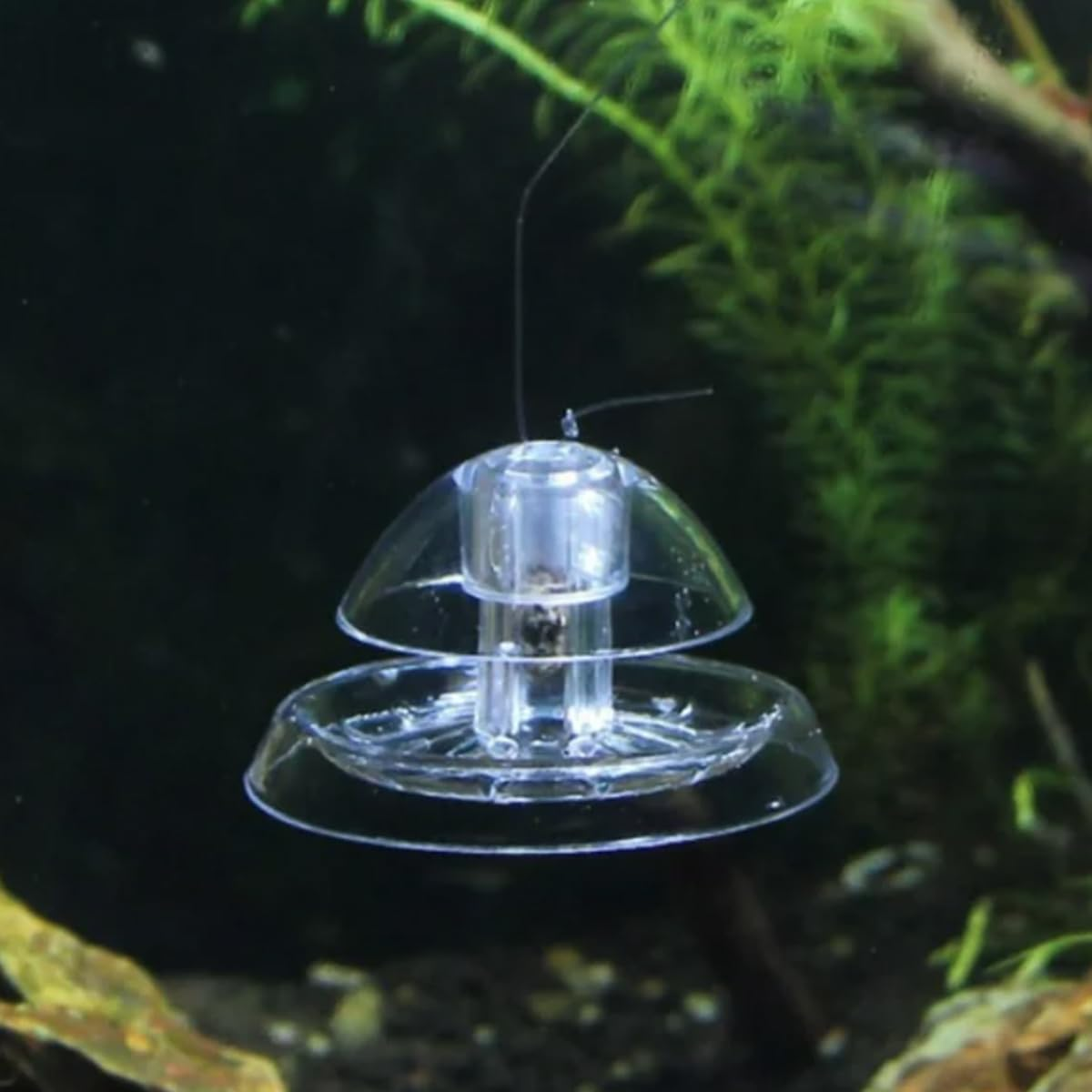 2-Pack Snail Trap, Planaria Trap,Transparent Catcher, Plastic Aquarium for Aquarium Fish Tank Planaria Leech Tiny Snail image number 1
