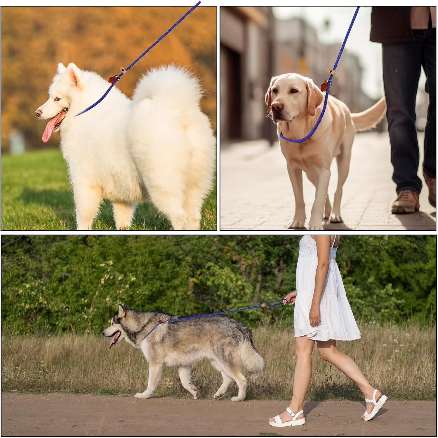 5FT Blue Polyester Dog Slip Leads No Pull Control Leash for Small, Medium, Large Dogs image number 2