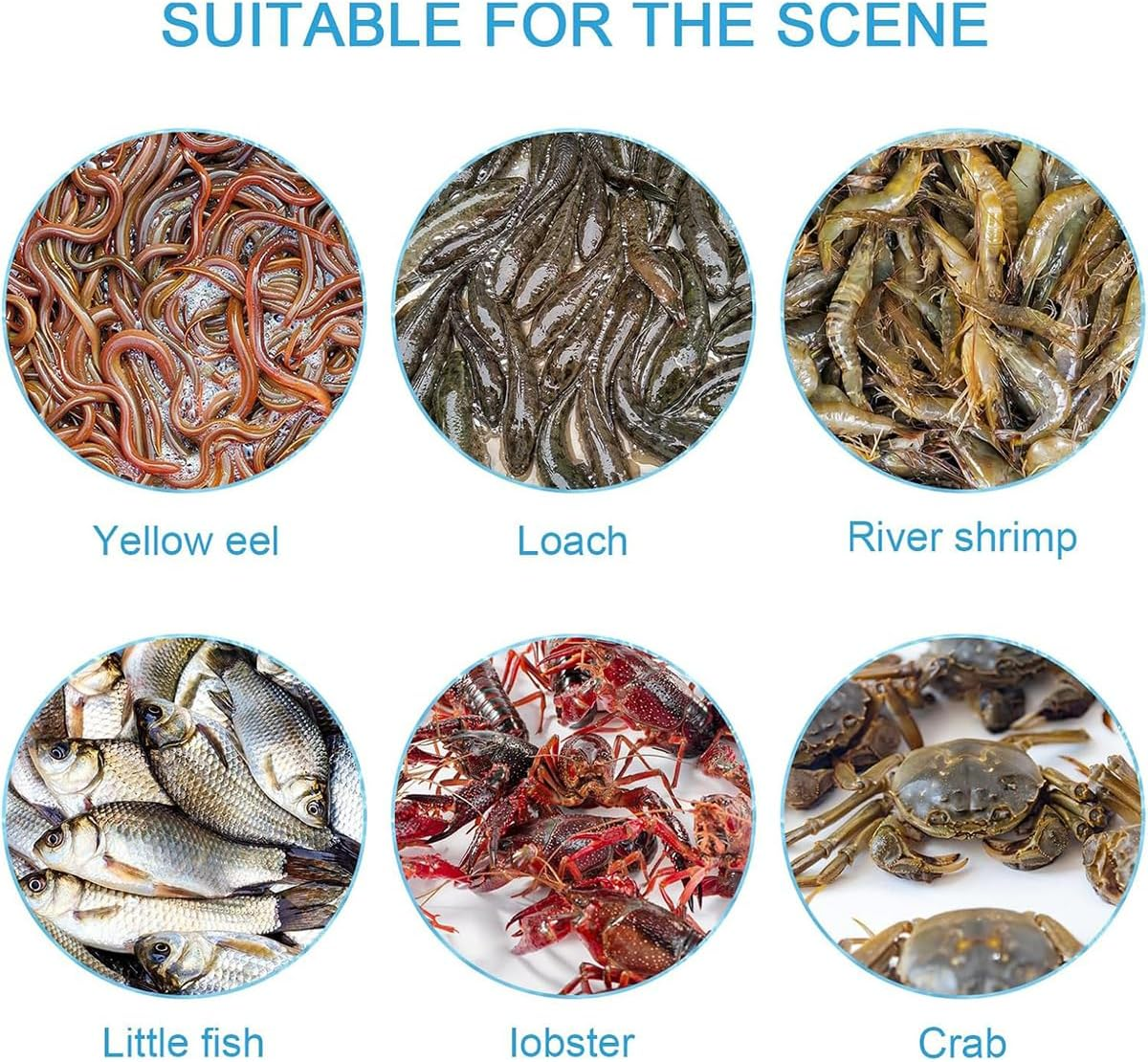 AIMALL Eight-Hole EEL Cage Fish Trap, Yellow EEL and Lobster Catcher, Bottom Sank Fishing Cage for Loach and EEL, 14.57 X 4.33 In image number 3