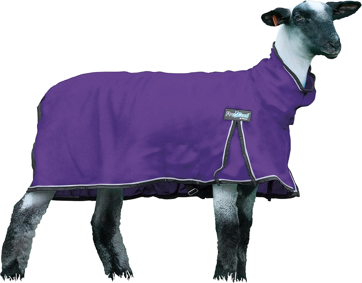 Weaver Leather 35-3521-B6 Procool Mesh Sheep Blanket, Small, Blue