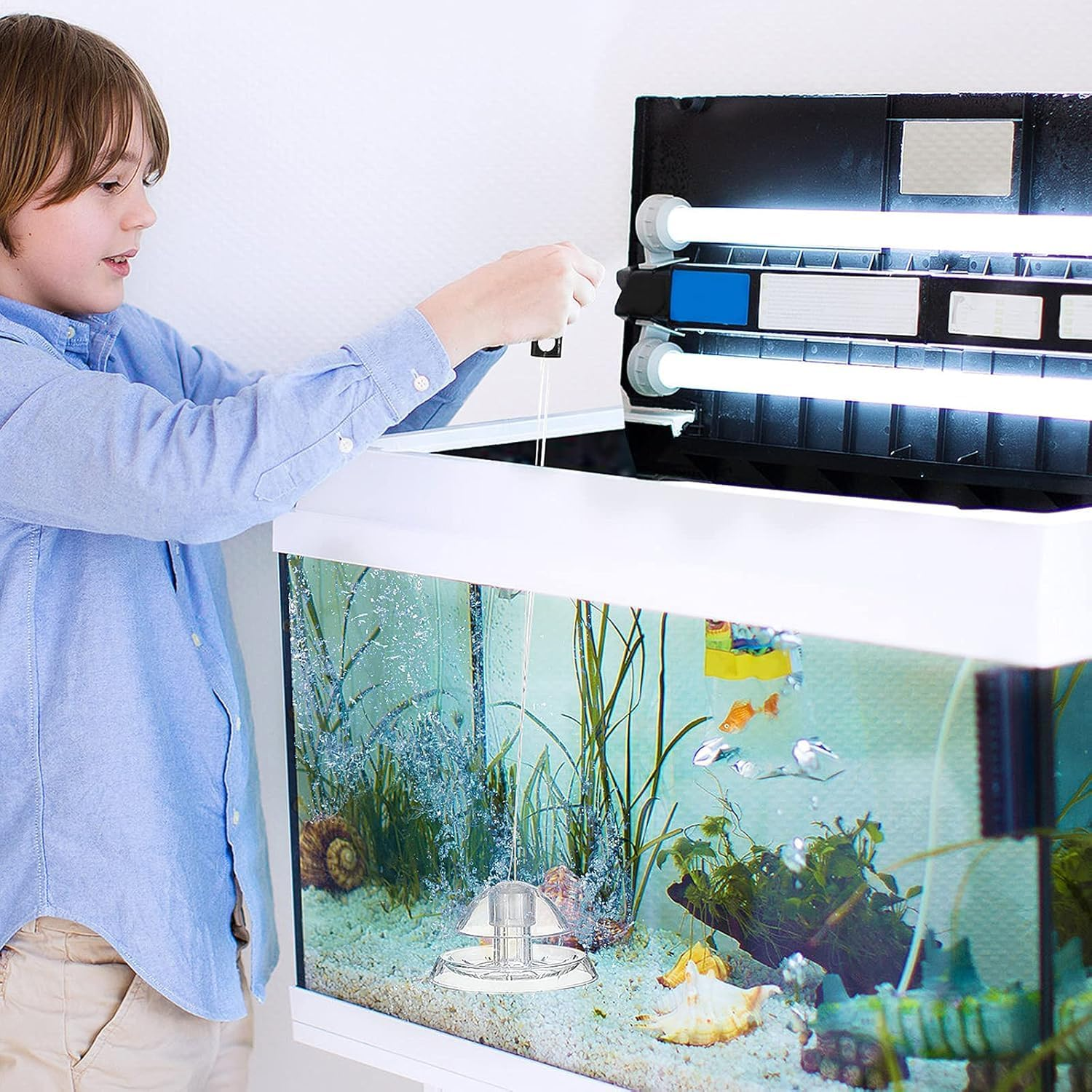 Liyquint 2Pcs Aquarium Snail Trap, Plastic Transparent Snail Catcher for Fish Tank,Trap for Tiny Snails, Use for Freshwater Aquariums (Transparent) image number 1