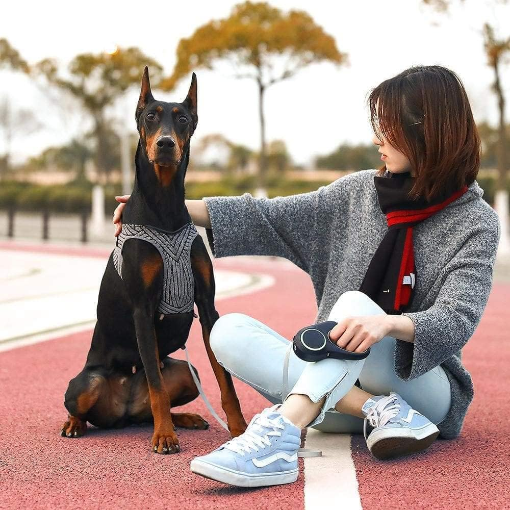 PETKIT Harness Air Fly Large Size Water-Resistant and Breathable Machine Washable