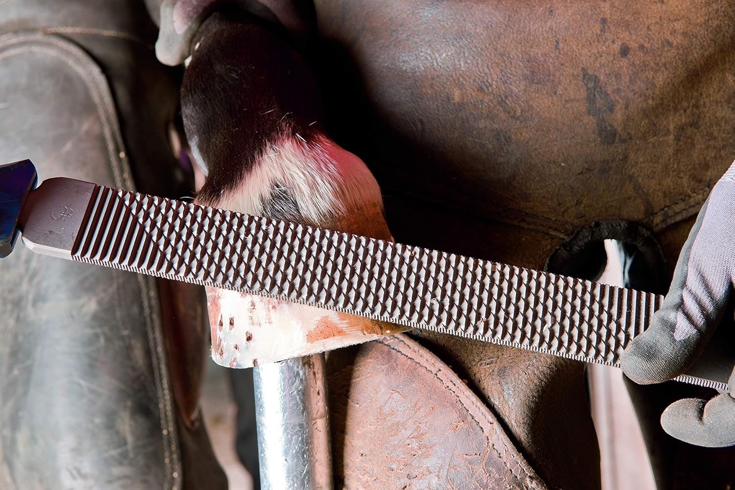 PFERD - Hoof Plane, Efficient, Force and Back-Friendly Hoof Processing, 350 Mm, Rectangular, Flat-Blunt Milled File, 13180350 - Also Suitable for Processing the Hoof Nails after Cutting image number 3