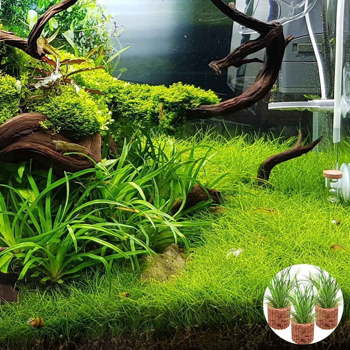 20Pcs Aquatic Water Plant Fixed Rings, Fish Tank Pottery Holder Plant Ring, Water Plants Cultivation Fixed Ring Ceramic Plant Pot,Landscape Ceramic Pottery Gravity Ring for Fish Tank Accessories