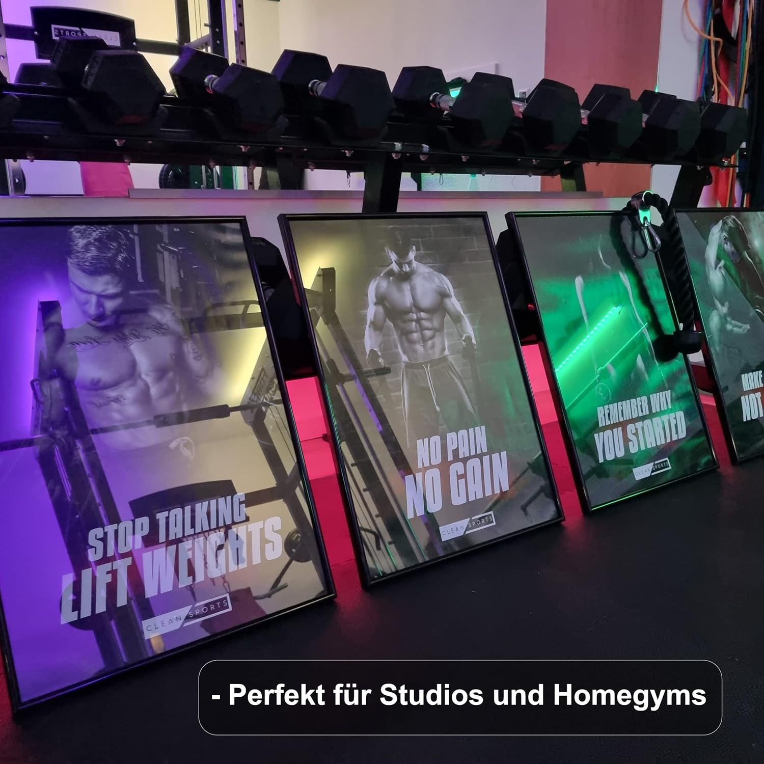 Fitness Poster &ndash; Gym Pictures Set of 4 Motivation for Body Pictures in DIN A2 Format &ndash; Training Poster for Gyms and Home Gym &ndash; without Frame Ideal Decoration for Your Training Room