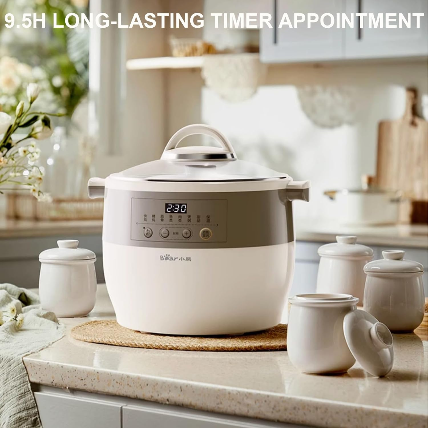 Electric Stew Pot, 4.5L Multi-Function Ceramic Inner Slow Cookers, 9.5H Smart Appointment Health Pot for Stew Pot, Soup, Baby Porridge, Desserts, Bird'S Nest Stew, 600W