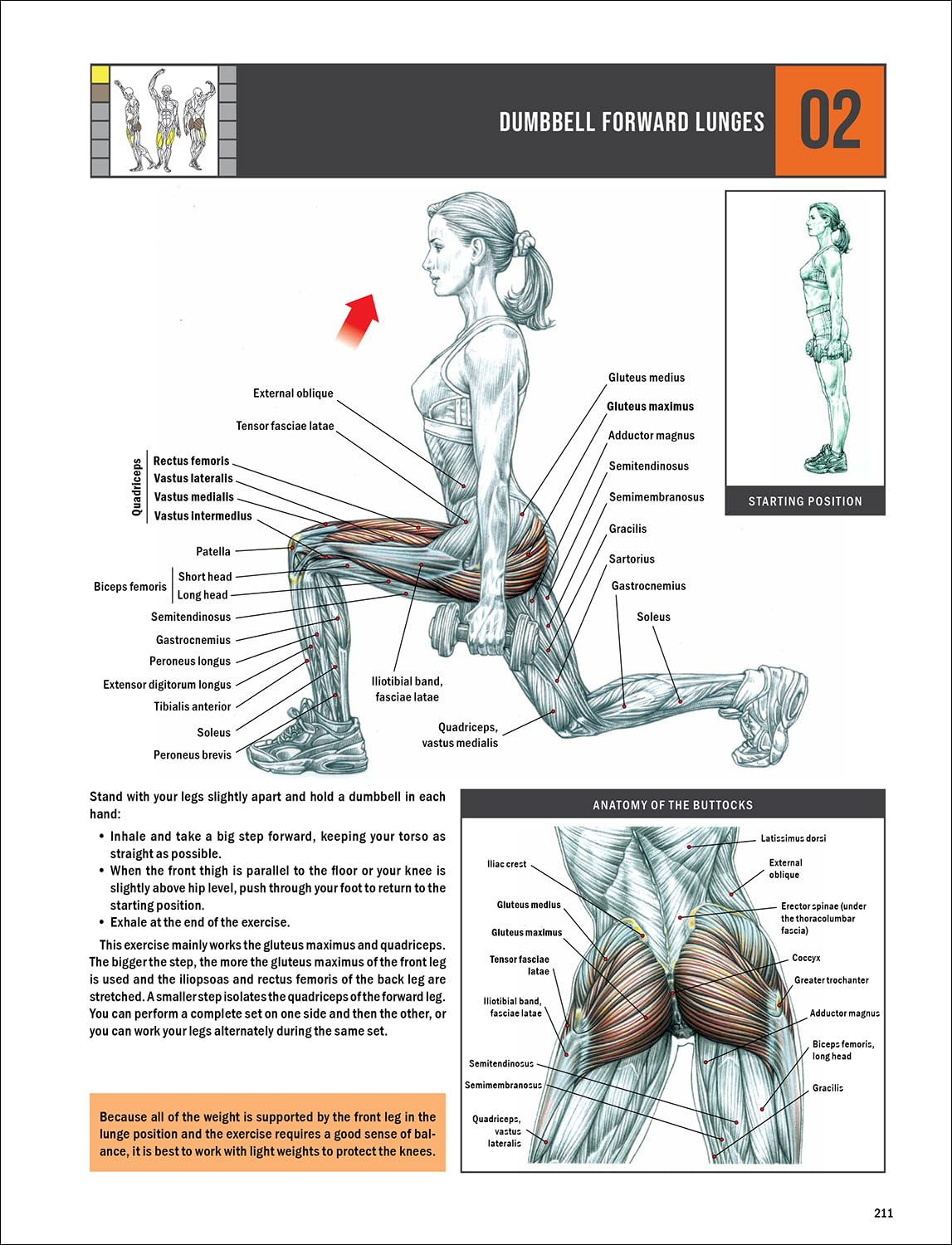 Strength Training Anatomy image number 1