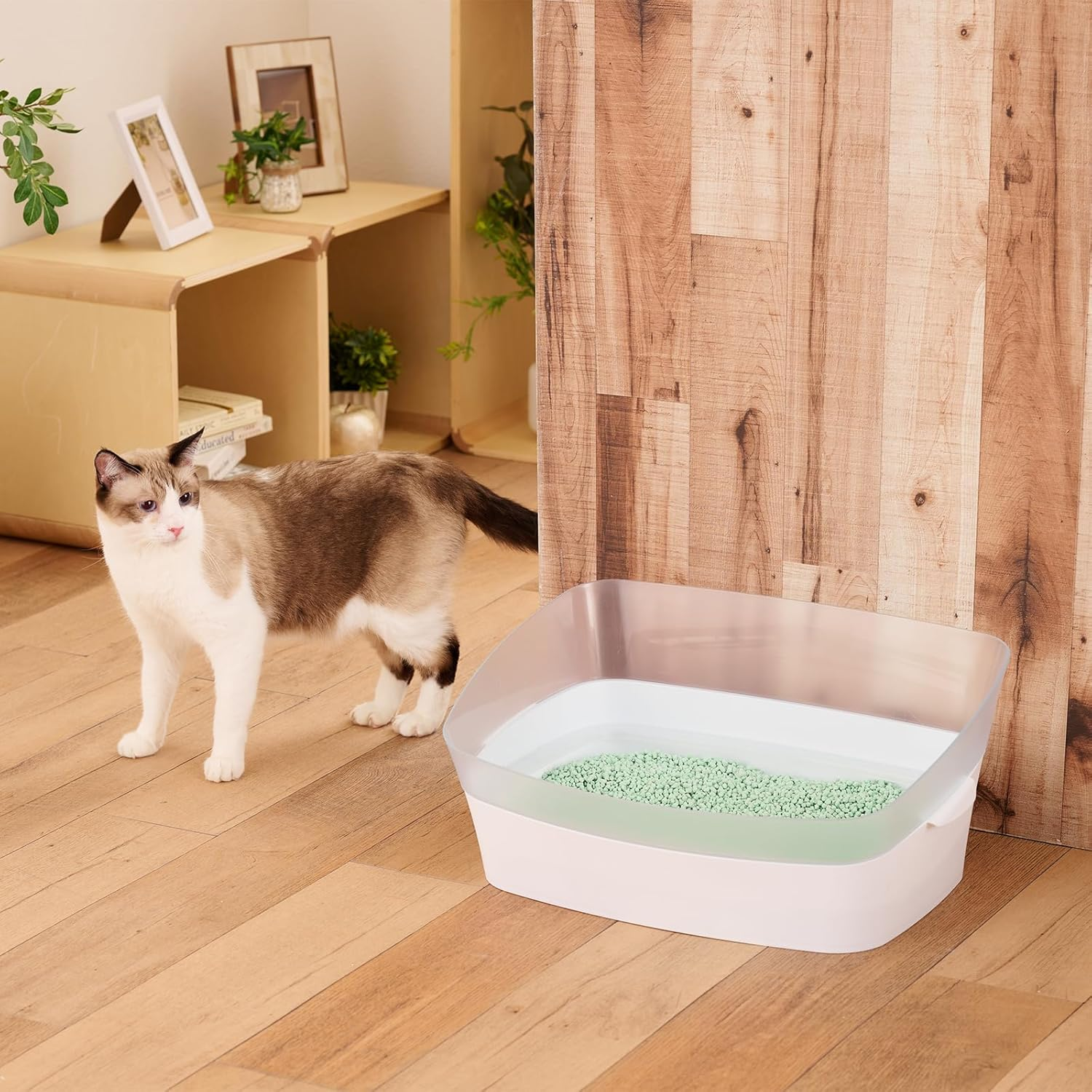 Tea Deodorizing Cat Sand, 1.3 Gal (6 L) image number 3