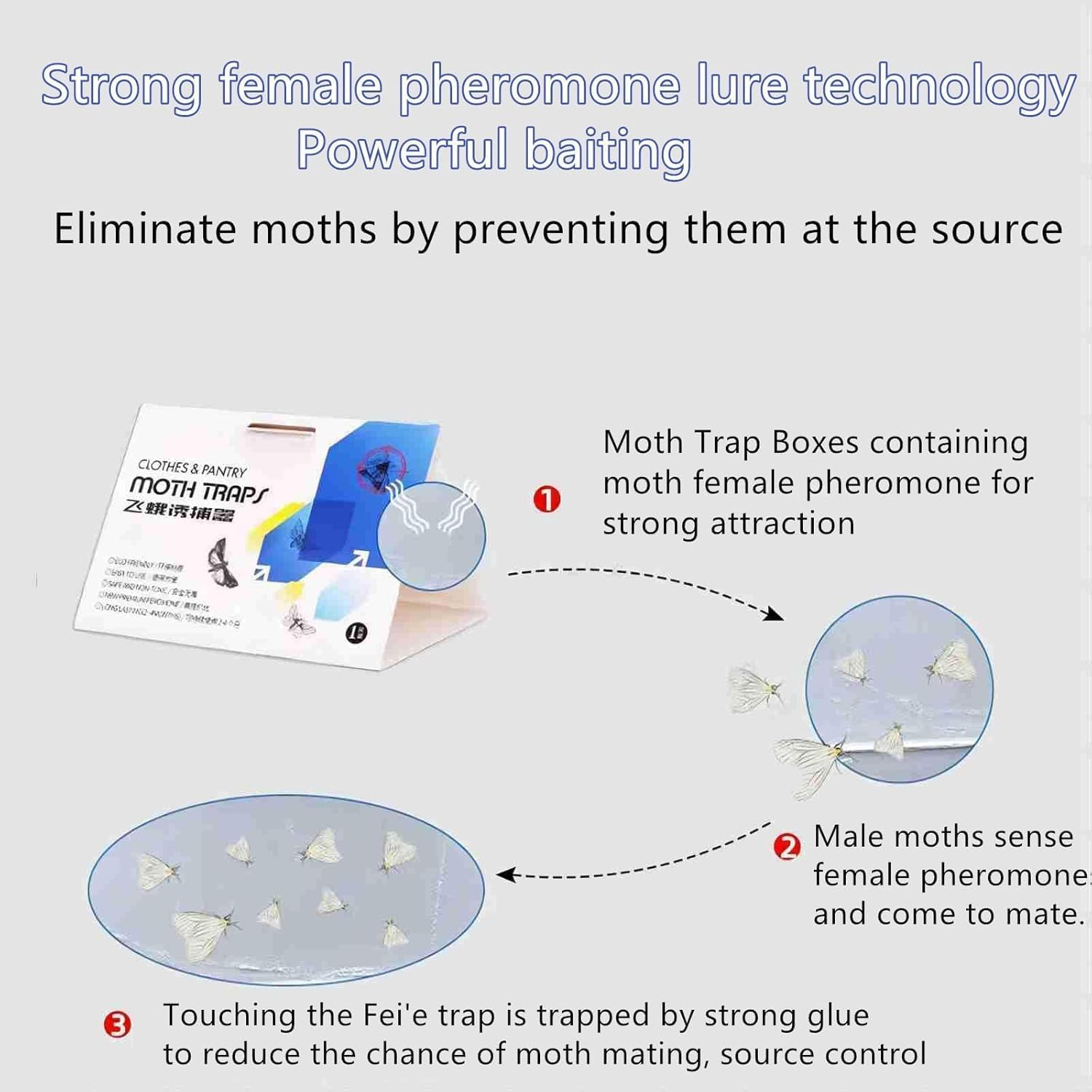 AUPOINT 4 Pack Clothes & Pantry Moth Traps, Pheromone Moth Killer, Indoor Efficient and Safety Non-Toxic Sticky Glue Traps image number 5