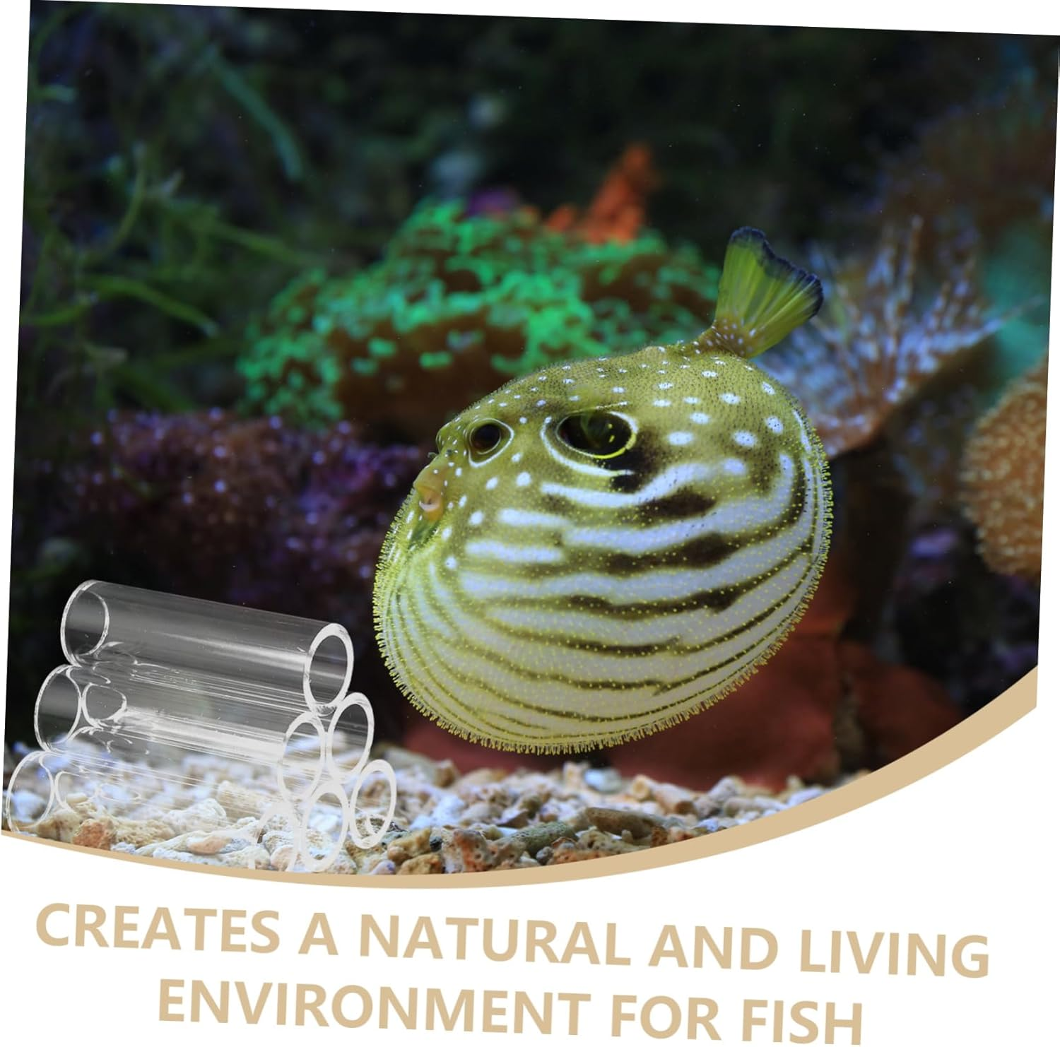 BUGUUYO 6Holes Transparent Acrylic Shrimp Breeding Tube Aquarium Shelter for Fish and Turtles Versatile Habitat Decoration Acrylic Design for Easy Monitoring of Aquatic Pets image number 1