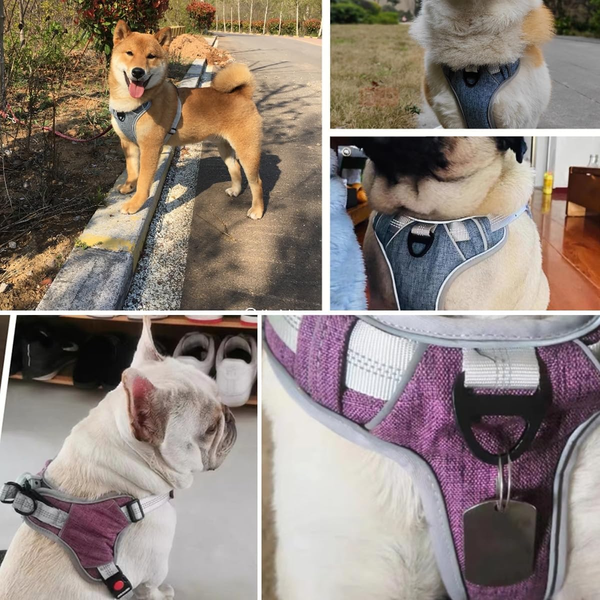 Agoumlux Dog Harness Anti-Pull Harness Adjustable Reflective Chest Harness for Large Medium Small Dogs, Blue, S image number 2