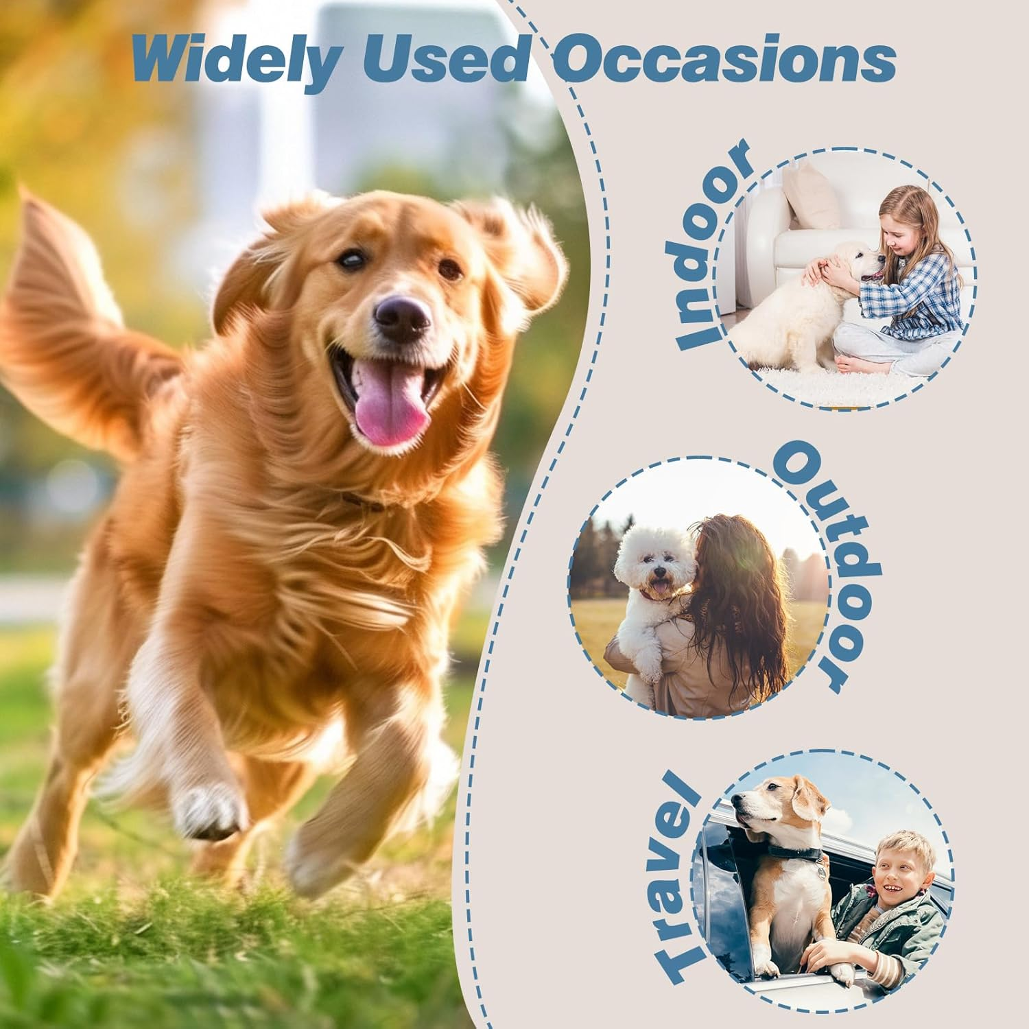 Hisprout Male Dog Nappies Pack of 3 Washable Reusable Dog Nappies for Male Highly Absorbent Dog Wraps with Flexible Velcro Fastener (DDMXL09) image number 2