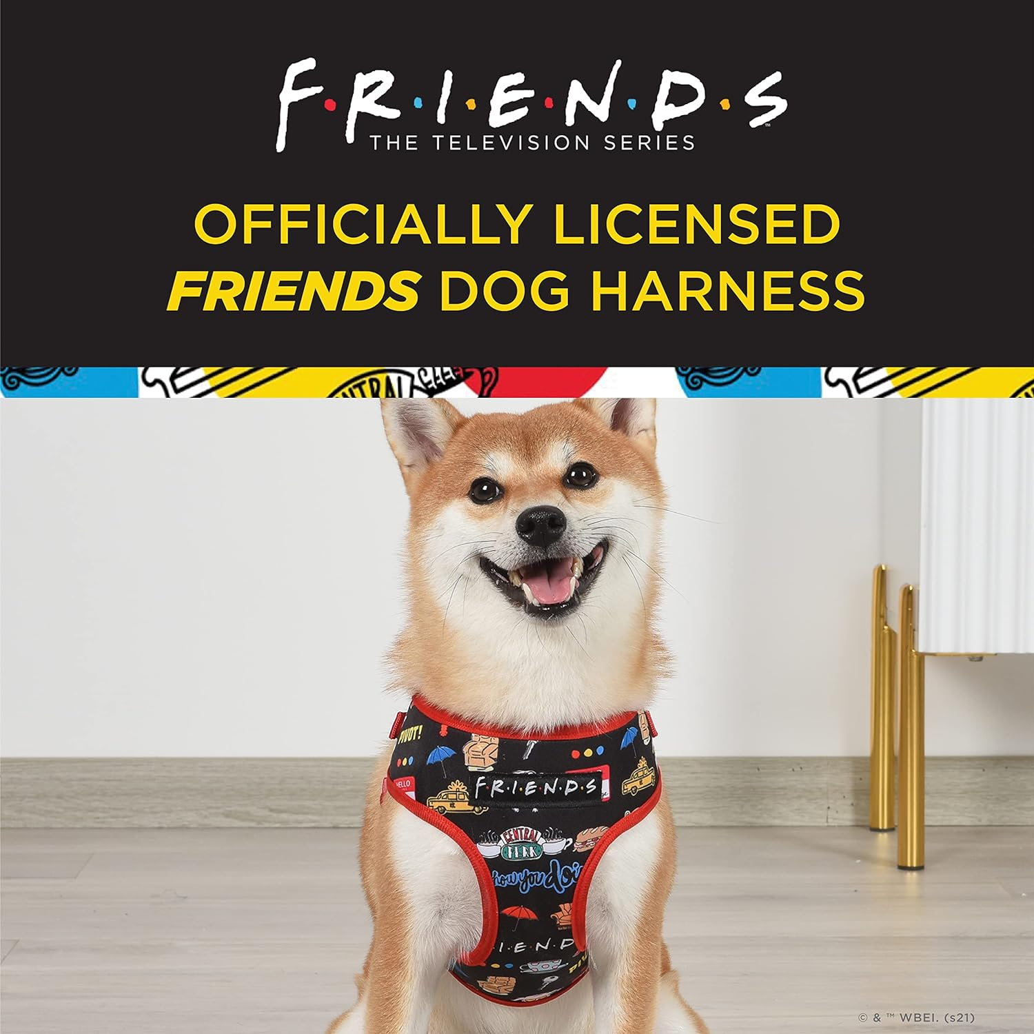 Friends TV Show Iconic Graphics Dog Harness for Small Dogs, Small (S) | Black No-Pull Harness with D-Ring | Machine Washable Friends Merch image number 5