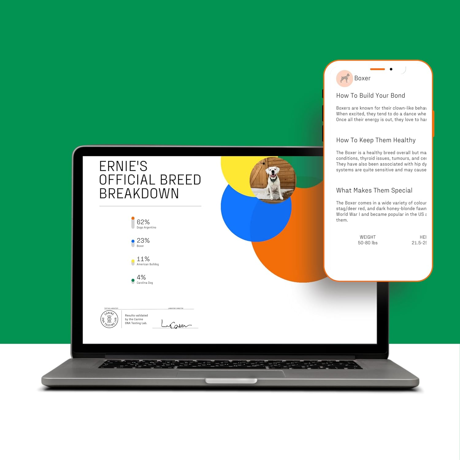 DNA MY Dog - Canine Breed Identification Test Kit - At-Home Cheek Swab Kit - Personality Traits by DNA My Dog image number 5