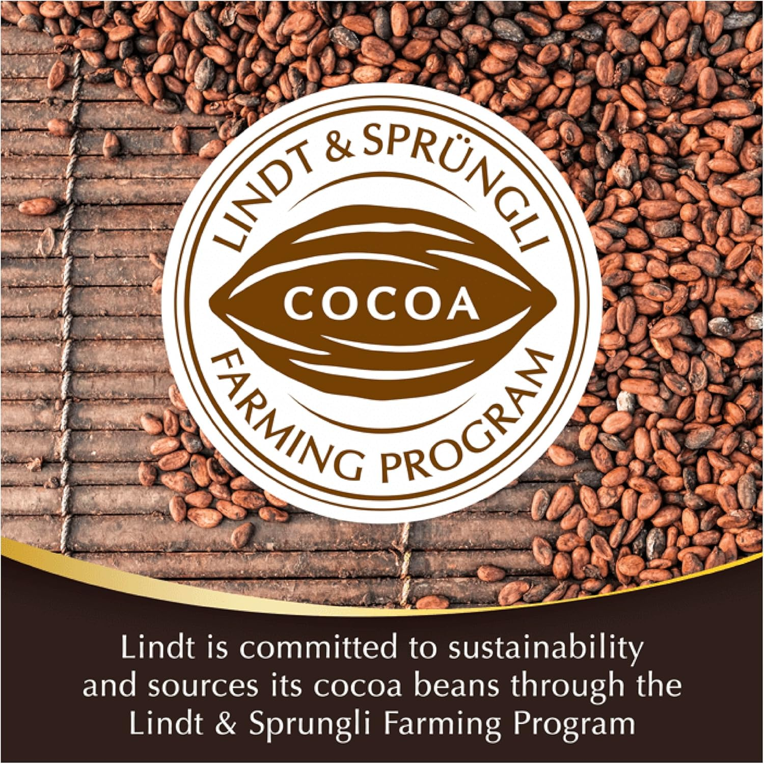 Lindt Lindor Singles 60% Cocoa Dark Chocolate Block 100G image number 4