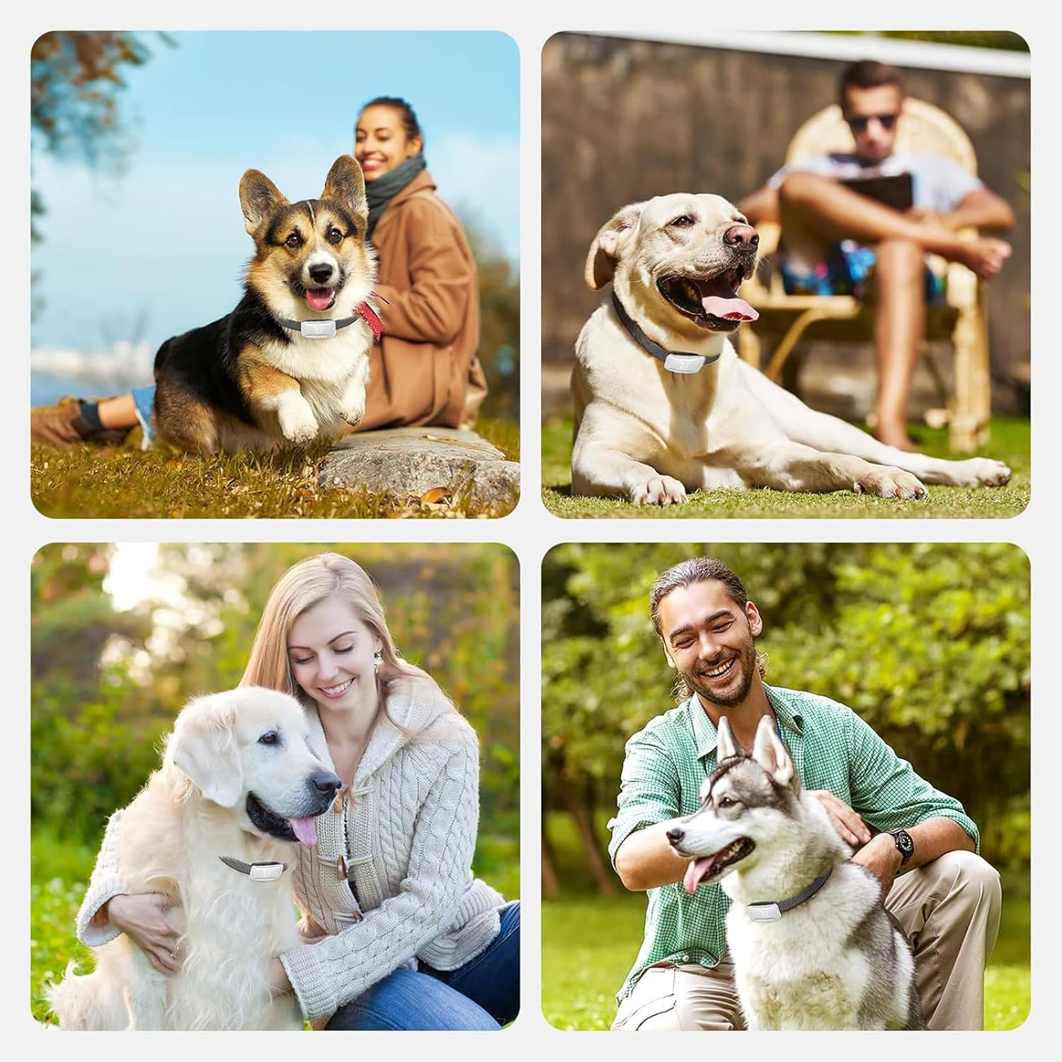 XIULIUU Dog Bark Collar, Rechargeable Smart Dog Shock Collar, anti Barking Training Collar with 7 Adjustable Sensitivity Beep Vibration Shock, Bark Collar for Large Medium Small Dogs