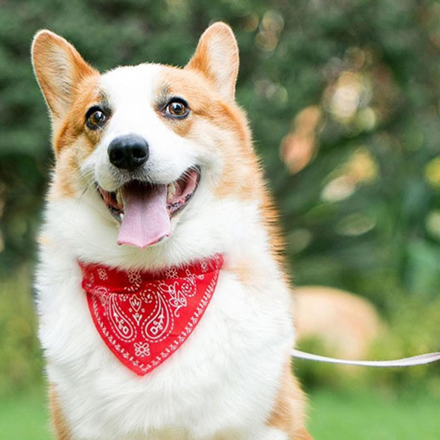 Pack of 4 Dog Bandanas Collar with Adjustable Straps, Pet Triangle Bib, Pet Saliva Cloth, Dog Bandana Headscarves, Triangular Scarf Dog Bandana, for Small, Medium Dogs and Cats, M image number 4