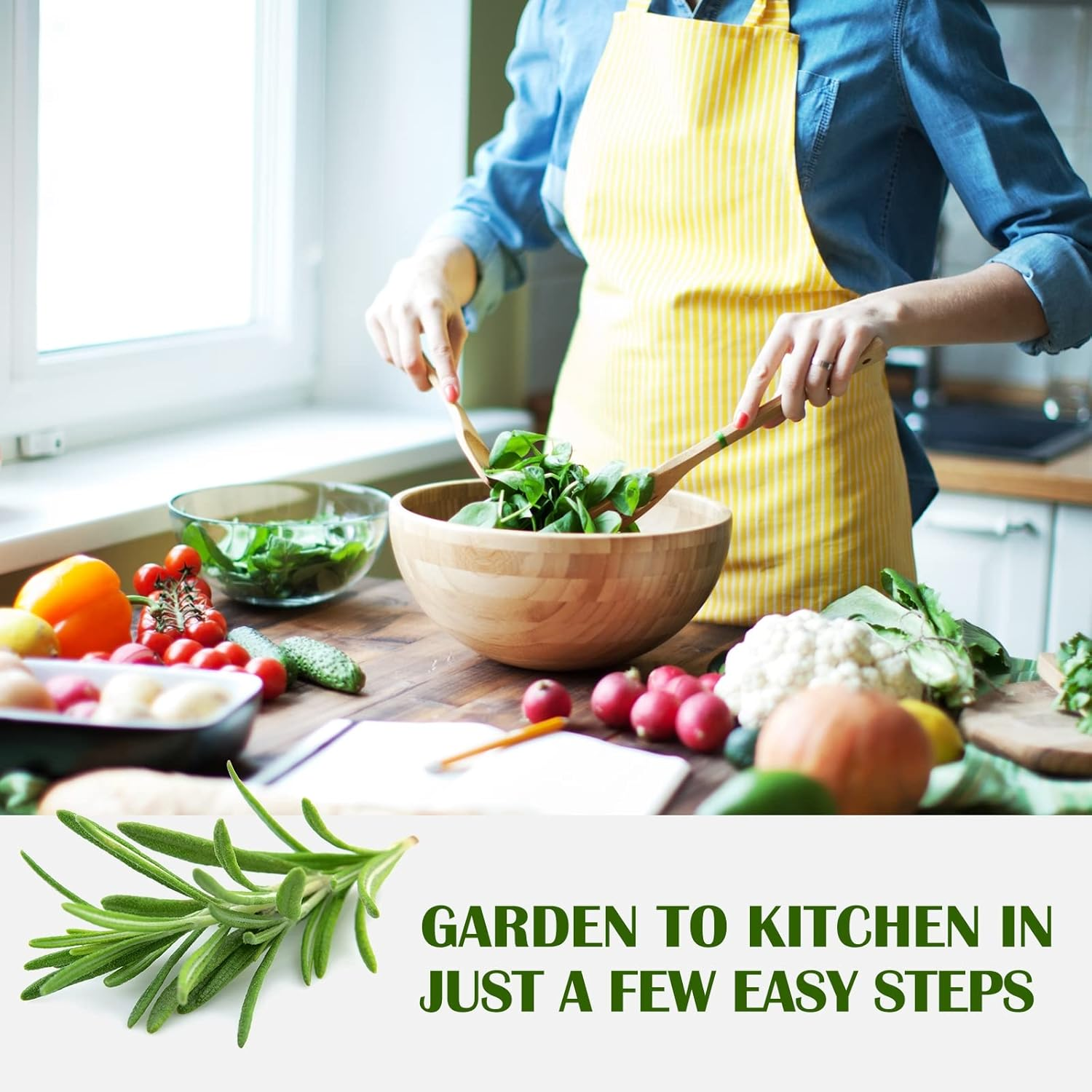 Meekear 10 Kit Non-Gmo Growing into Thyme, Lavender, Chamomile, Dill, Chives, Cilantro, Rosemary, Basil, Parsley, Sage Indoor/Outdoor for Kitchen Windowsill Gardening Gift, 10H04 image number 1