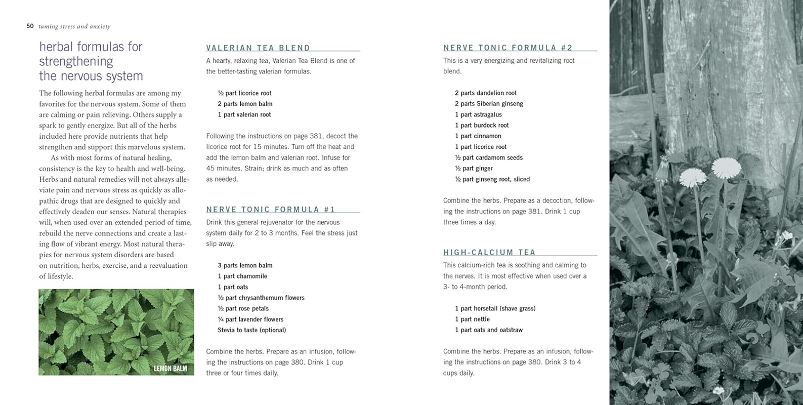 Rosemary Gladstar'S Herbal Recipes for Vibrant Health: 175 Teas, Tonics, Oils, Salves, Tinctures, and Other Natural Remedies for the Entire Family image number 5