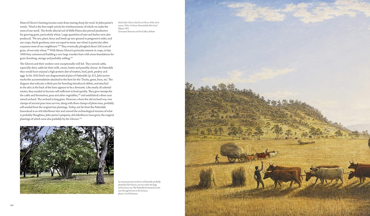 John Glover: Patterdale Farm and the Revelation of the Australian Landscape image number 1