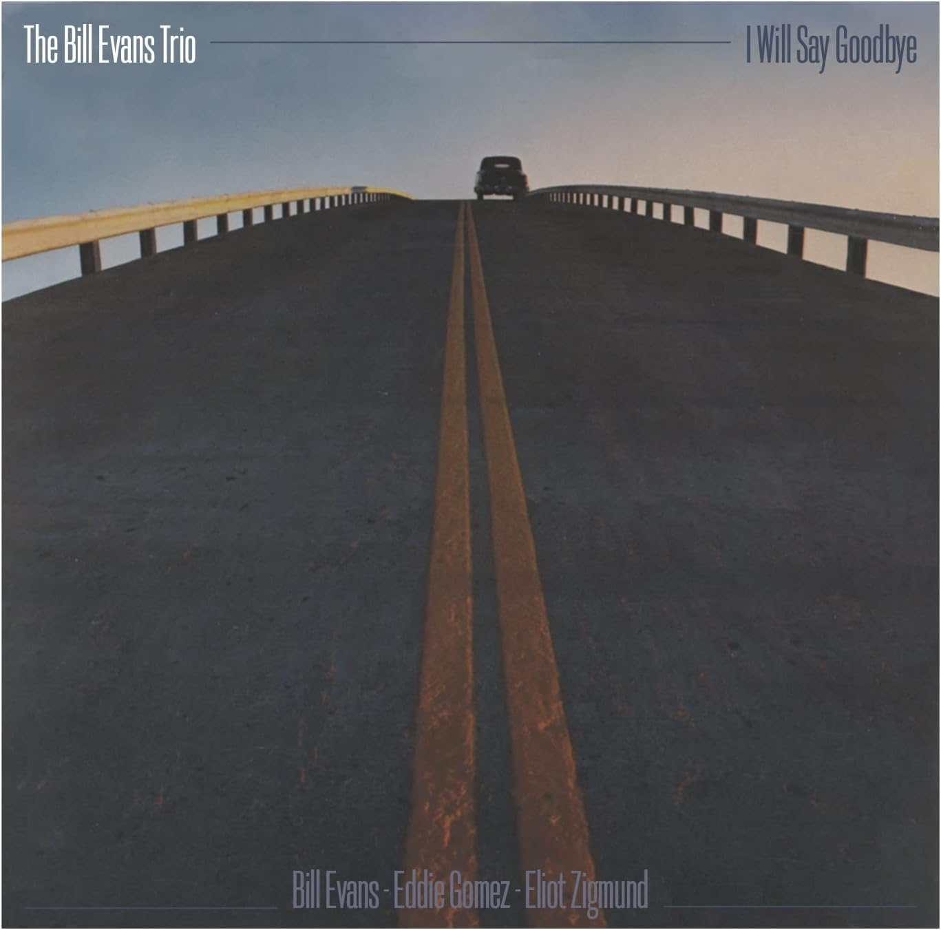 I Will Say Goodbye image number 1