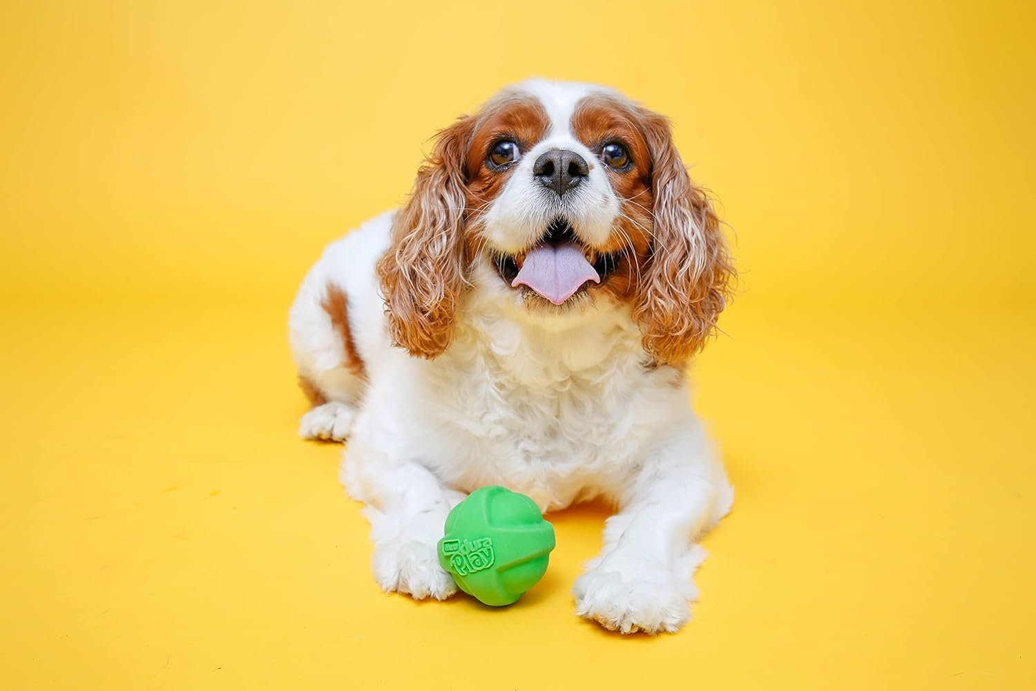 Hartz Duraplay Ball Squeaky Latex Dog Toy, Medium 3 Pack image number 4