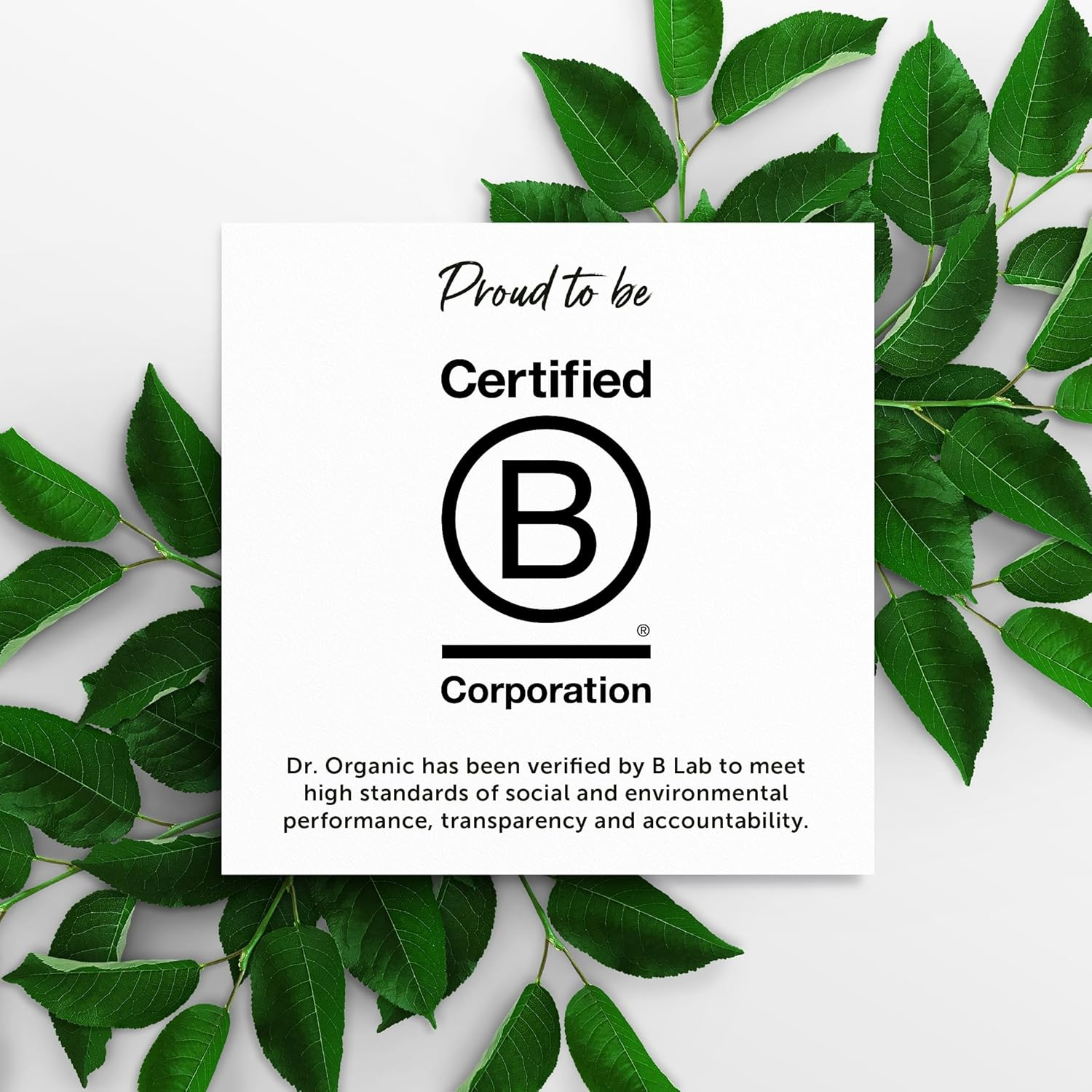 Dr Organic Pro Collagen plus Dragons Blood, Hyaluronic Acid, Biotin, Healthy-Aging, Wrinkles, Dry & Sensitive Skin, Natural, Vegan, Cruelty-Free, Paraben & Sls-Free, Organic, 50Ml, Packaging May Vary image number 5