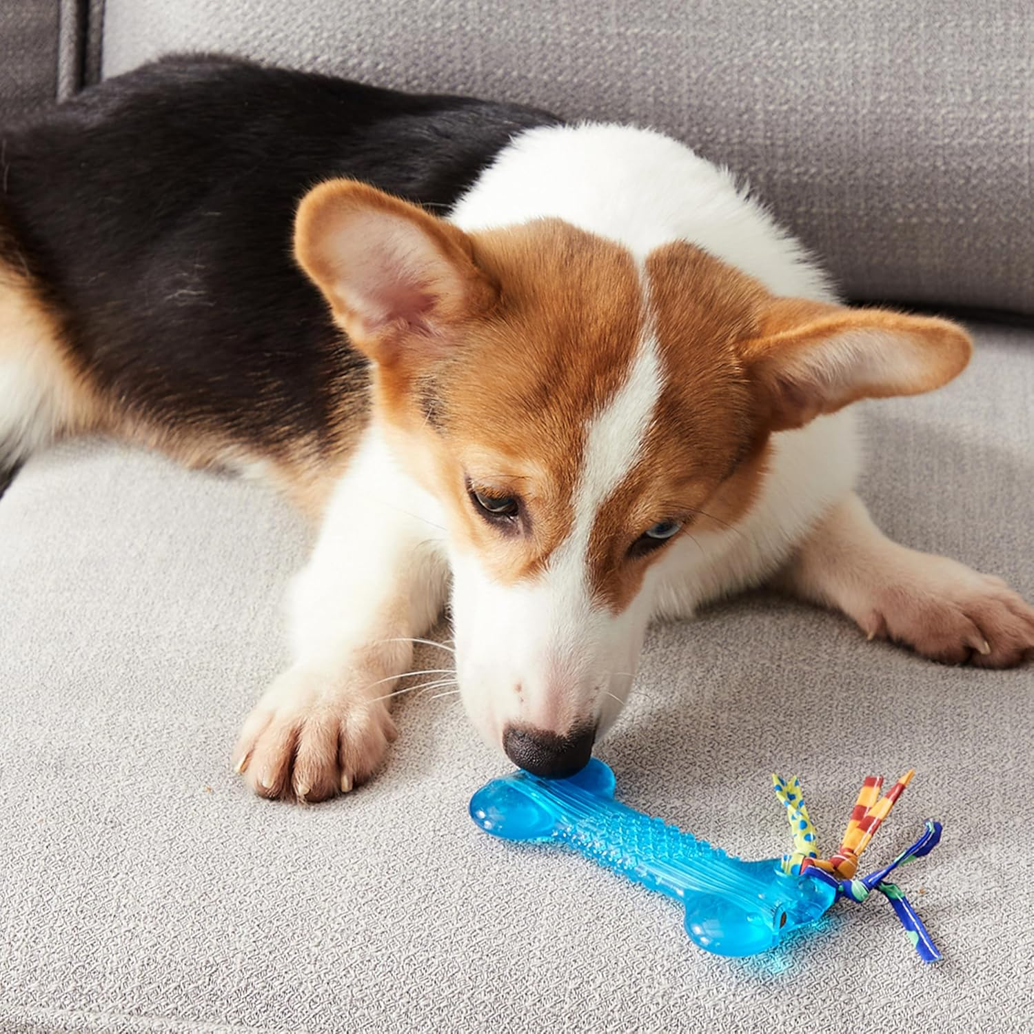 Petstages Orka Mini Bone Royal Blue Dog Chew Toy image number 5