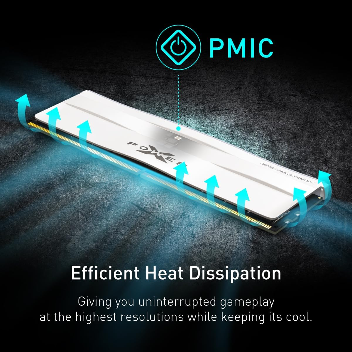 SP Silicon Power XPOWER Zenith RGB DDR5 32GB (2X16Gb) CL36 6000Mhz Gaming Memory Supports Intel XMP/AMD Expo UDIMM Desktop PC Computer RAM Memory, Black - SP032GXLWU60FFDH image number 1