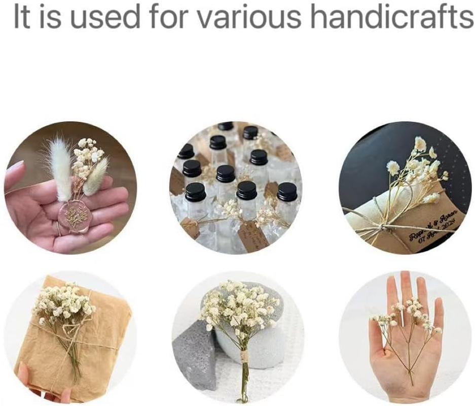 JCQMZB 100 Pcs Dried Babys Breath Flowers Bulk Ivory White Babys Breath Real Pressed Flowers Natural Gypsophila for Resin Wedding Art Craft DIY Invitations Scrapbooking Card image number 5