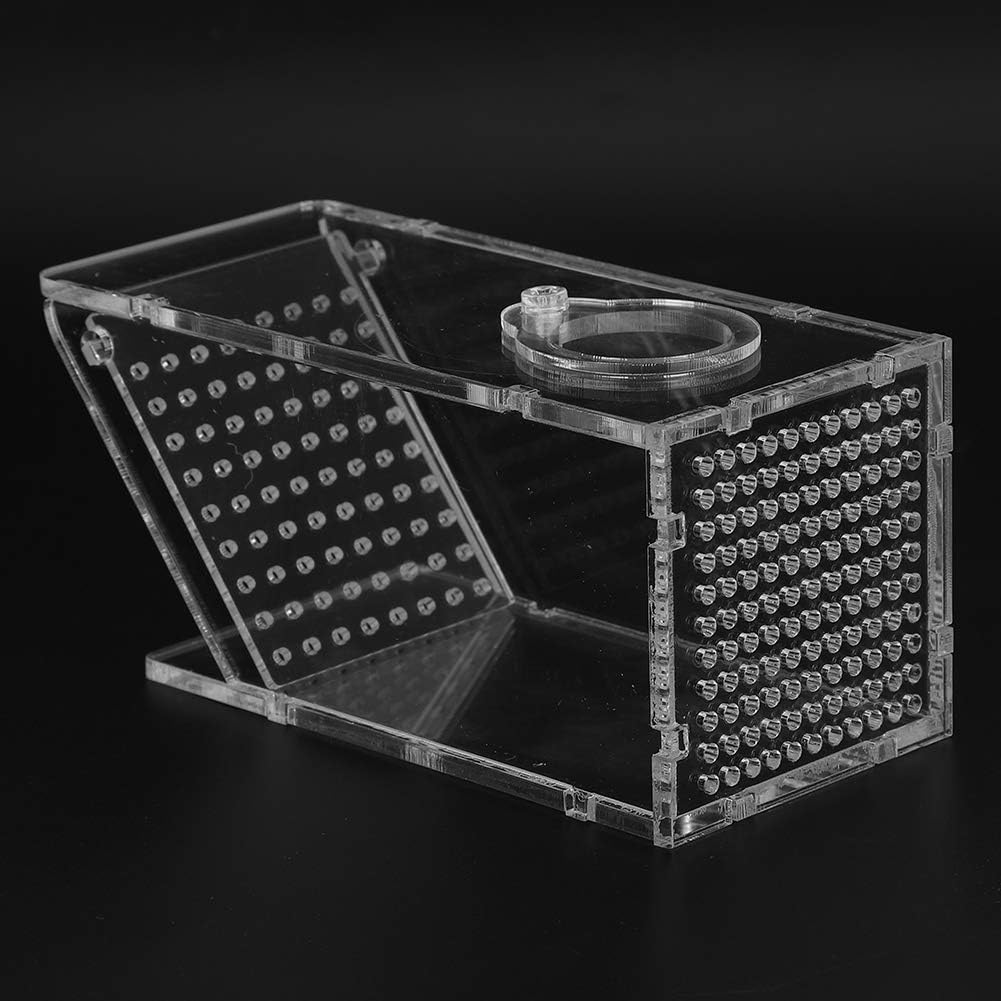 Crab Fish Trap, Crab Trap Catcher Box Fish Tank Mini Freshwater Catcher Box Aquarium Crawfish Tank Fishing Bait Cage Transparent Acrylic Holder for Catching Shrimp image number 3