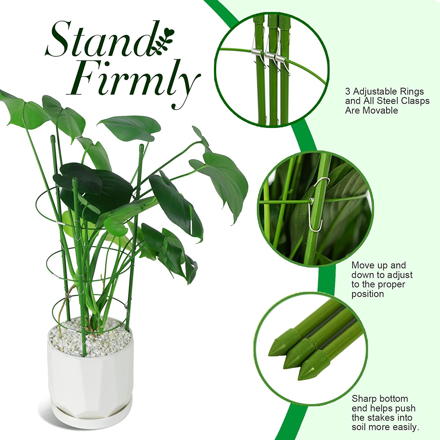 LEOBRO 2 Pack Plant Support Cage Metal Rust Resistant Garden Plant Support Ring Plant Stake Plant Support for Tomato, Trellis, Climbing Plant, Flower, 17.7&rdquo; High, 5.48&rdquo;/6.18&rdquo;/6.89&rdquo; Inner Diameter image number 1