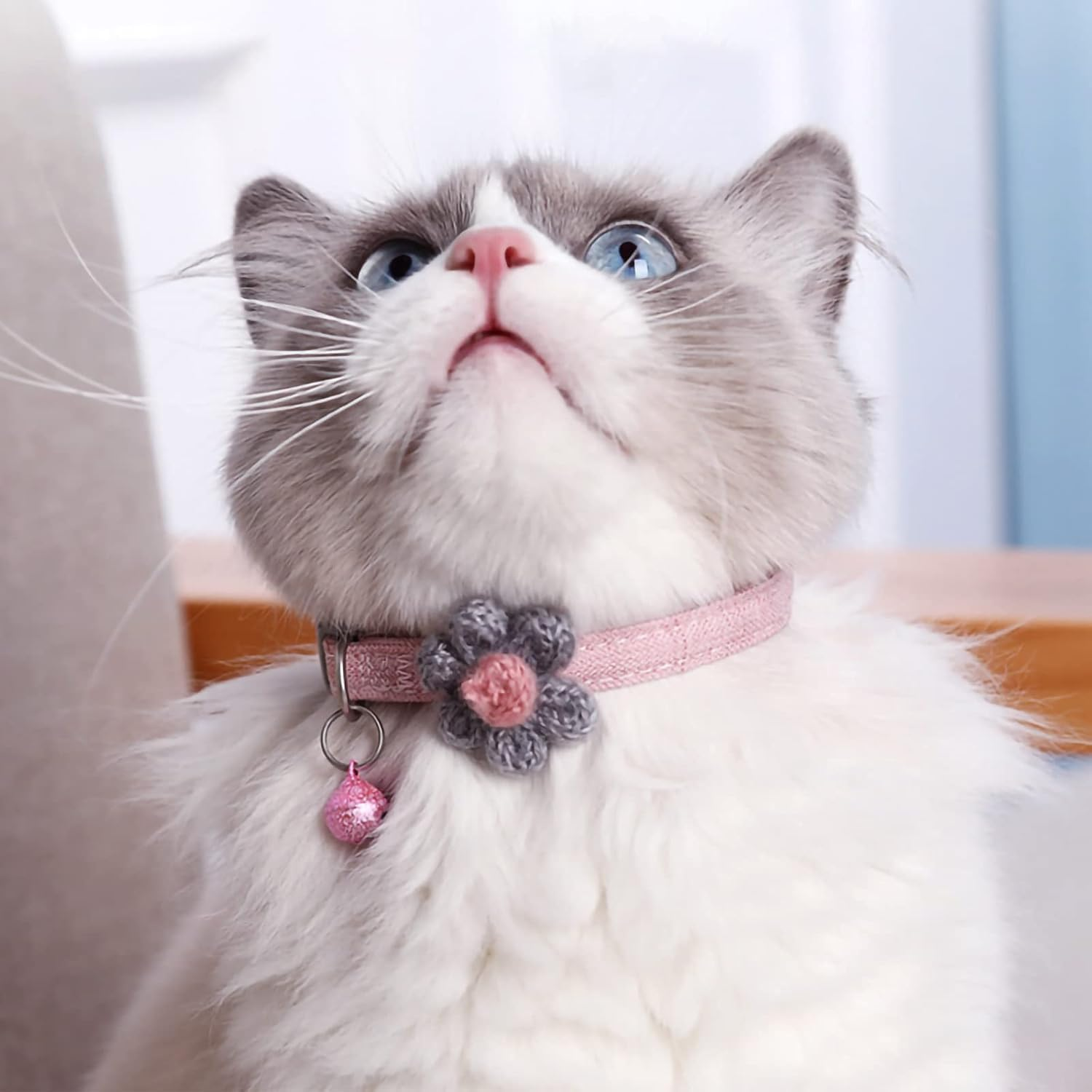 Kitten Collar with Six Petals Flowers Collars Charms,Dog Cat Collar with Bells,Adjustable Cat Collars for Cats (Blue, M) image number 1