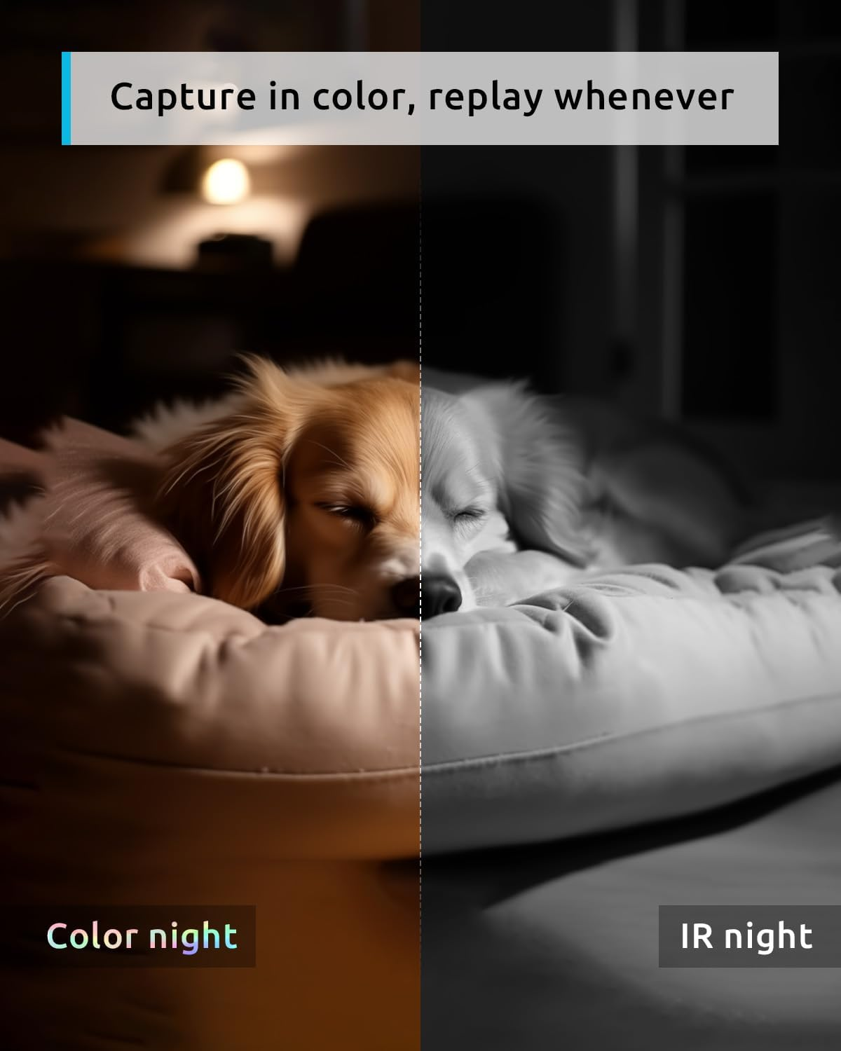 Blurams Pet Camera 2K, 360&deg; Indoor Security Camera, Dog Camera with Phone App, PTZ Cameras for Home Security Indoor, 2-Way Talk, Motion Tracking, Color/Ir Night Vision, Cloud&Sd(2.4Ghz Only) image number 5