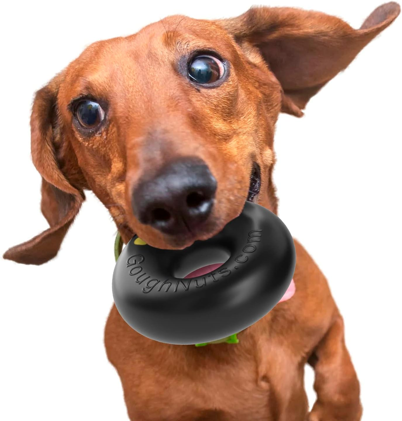 Goughnuts - Rubber Dog Chew Toy, Med .75 - Black Pro 50 Ring