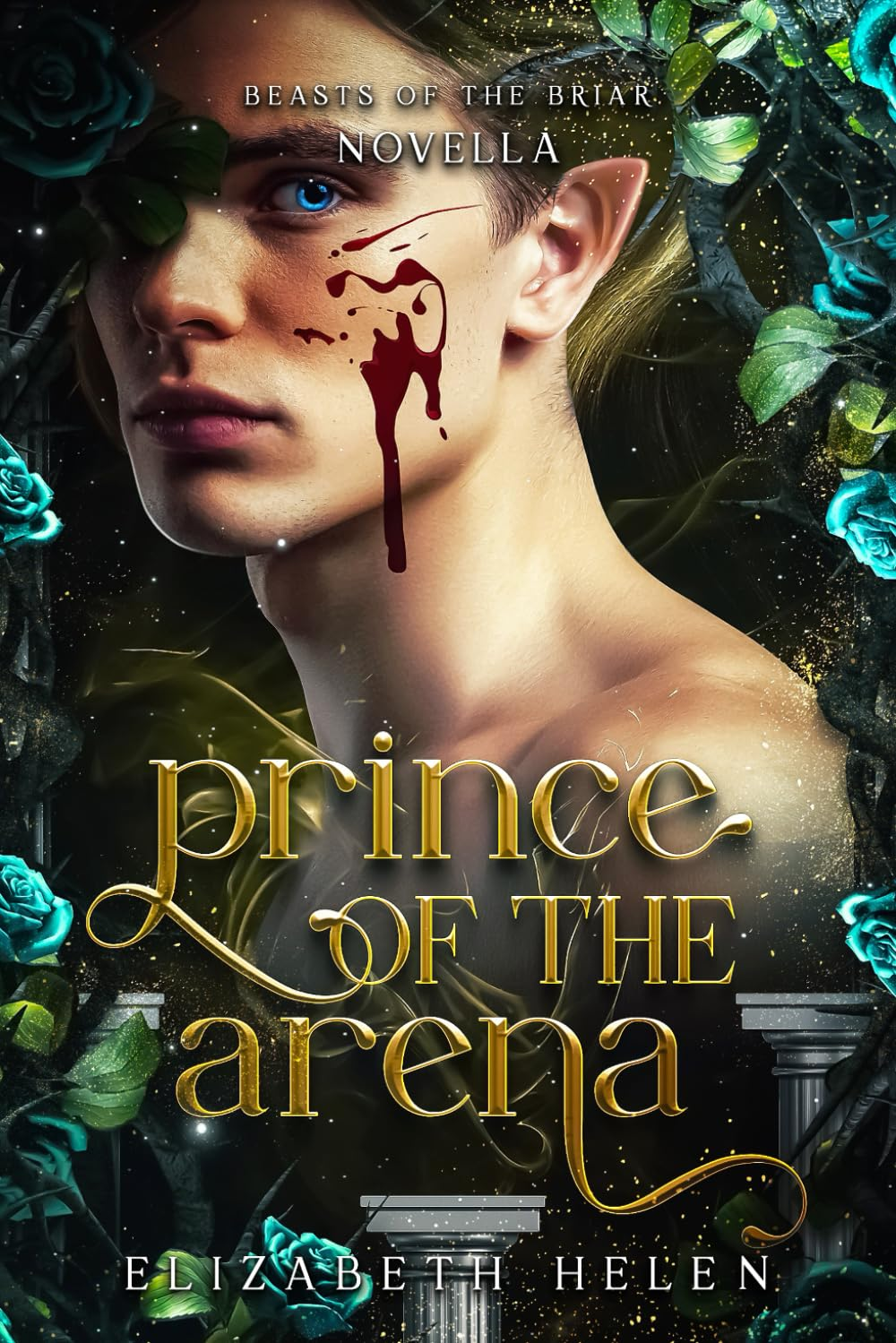 Prince of the Arena: a Beasts of the Briar Prequel Novella