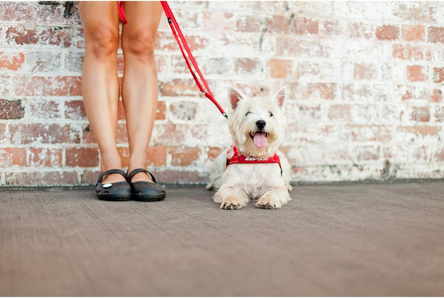 Ezydog Soft Trainer Dog Leash - 25Mm Soft Webbing Lead for Medium & Large Dogs, Neoprene Handle, Reflective, Additional Handle for Close Control (180Cm, Denim) image number 2